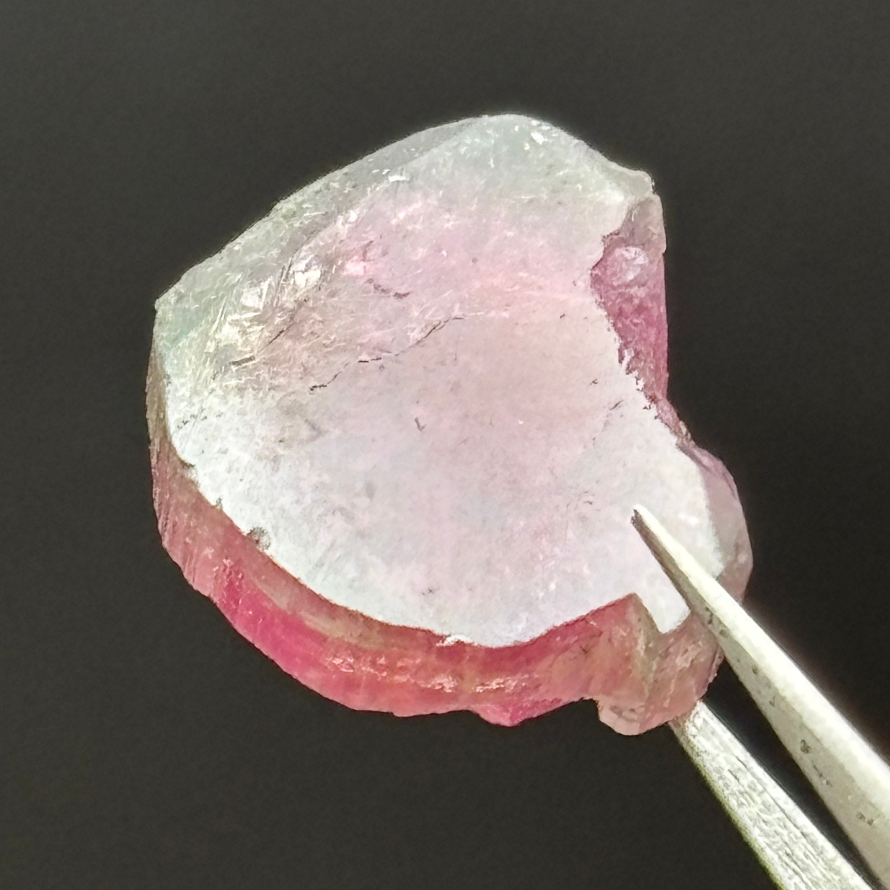 Watermelon Tourmaline Cross-Section- 091