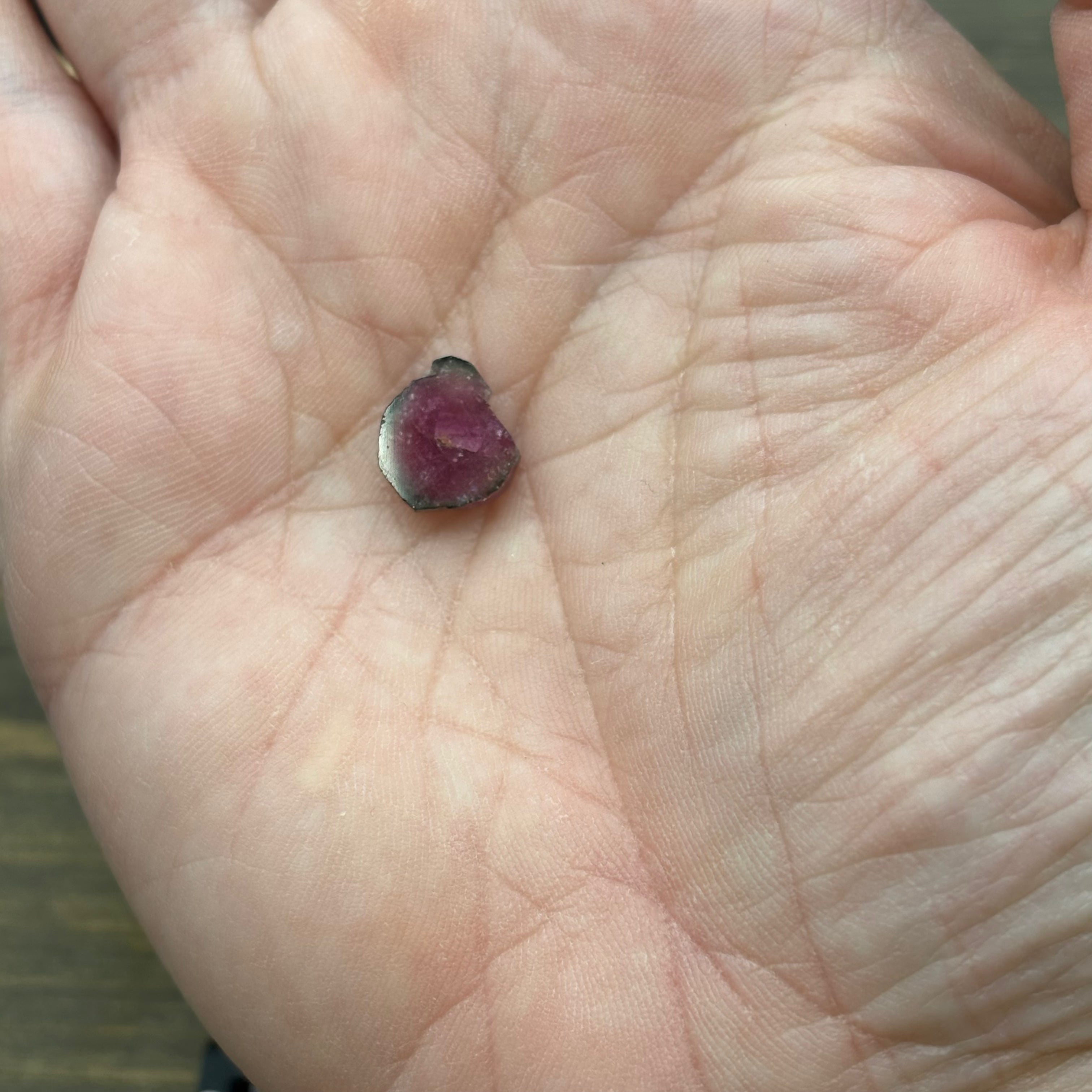 Watermelon Tourmaline Cross-Section- 091