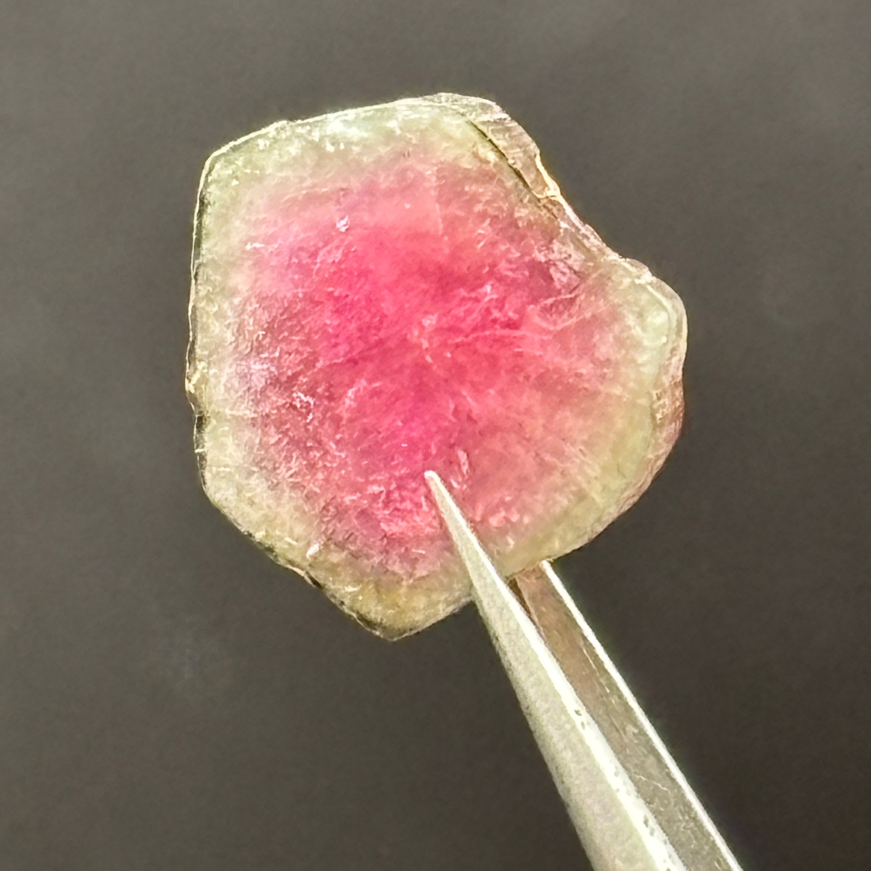 Watermelon Tourmaline Cross-Section - 092