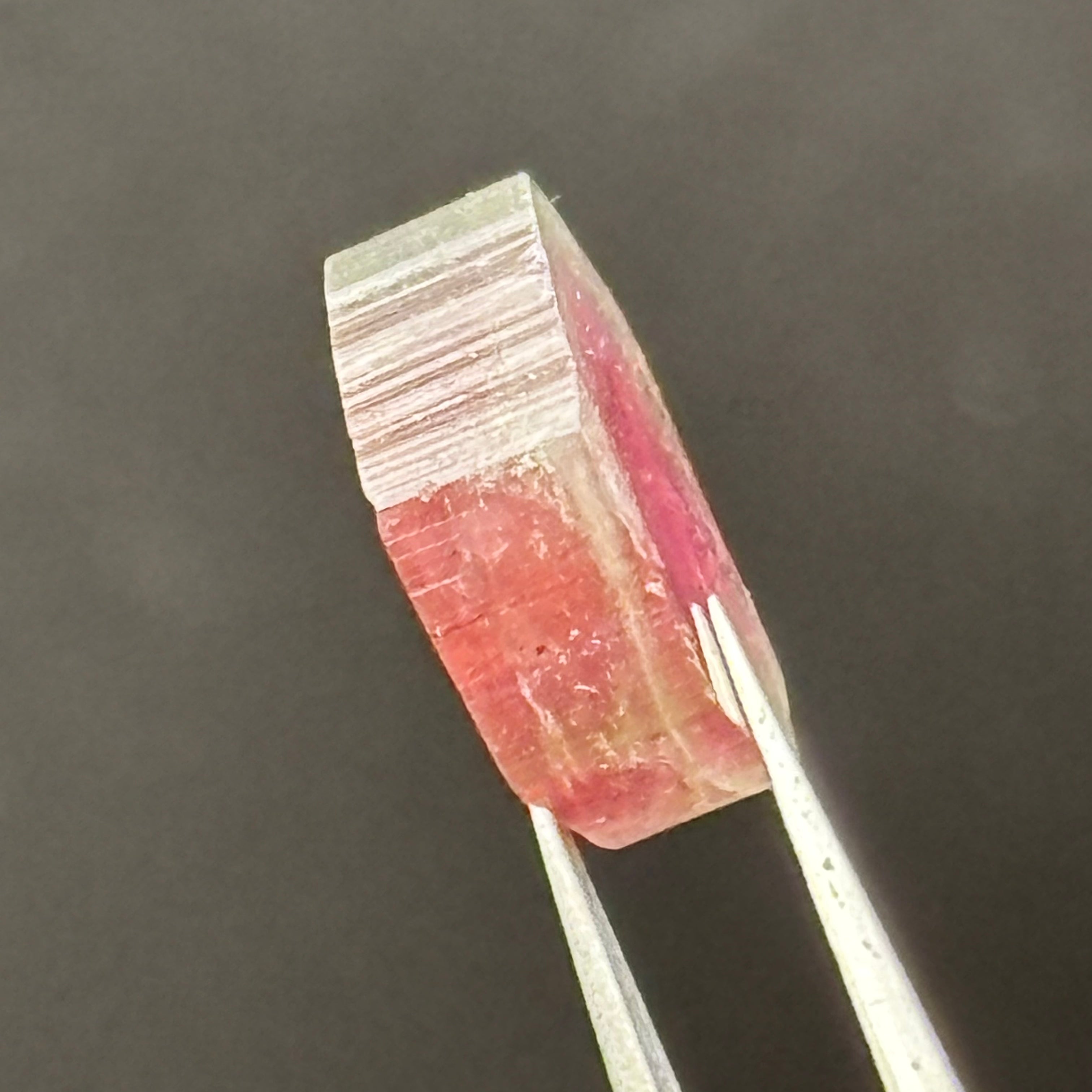 Watermelon Tourmaline Cross-Section - 092