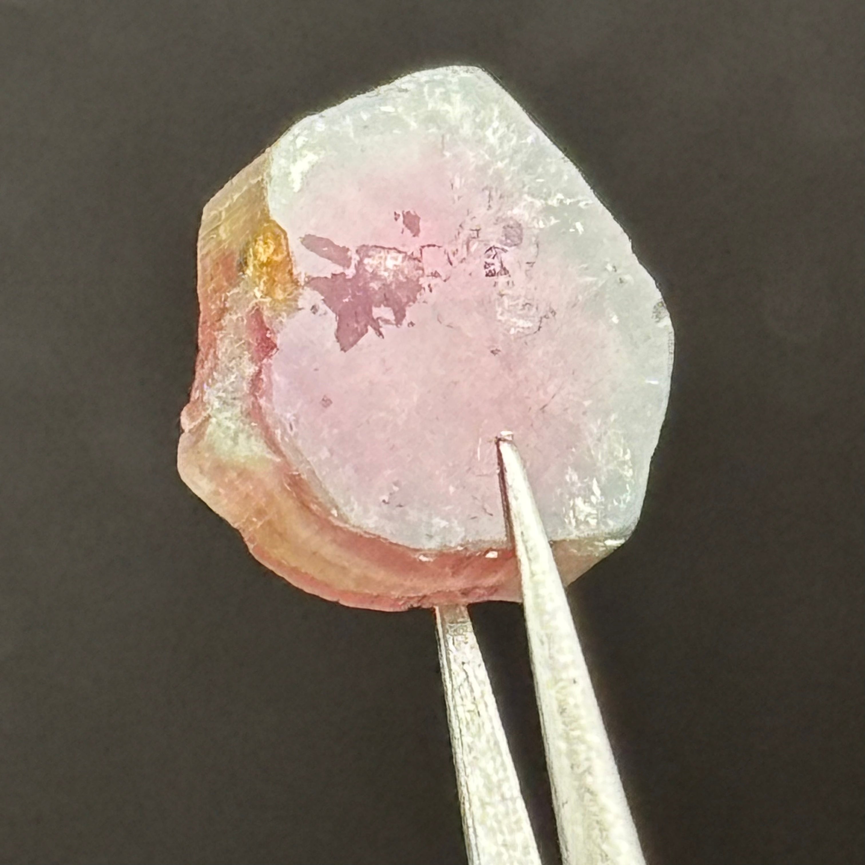 Watermelon Tourmaline Cross-Section - 092