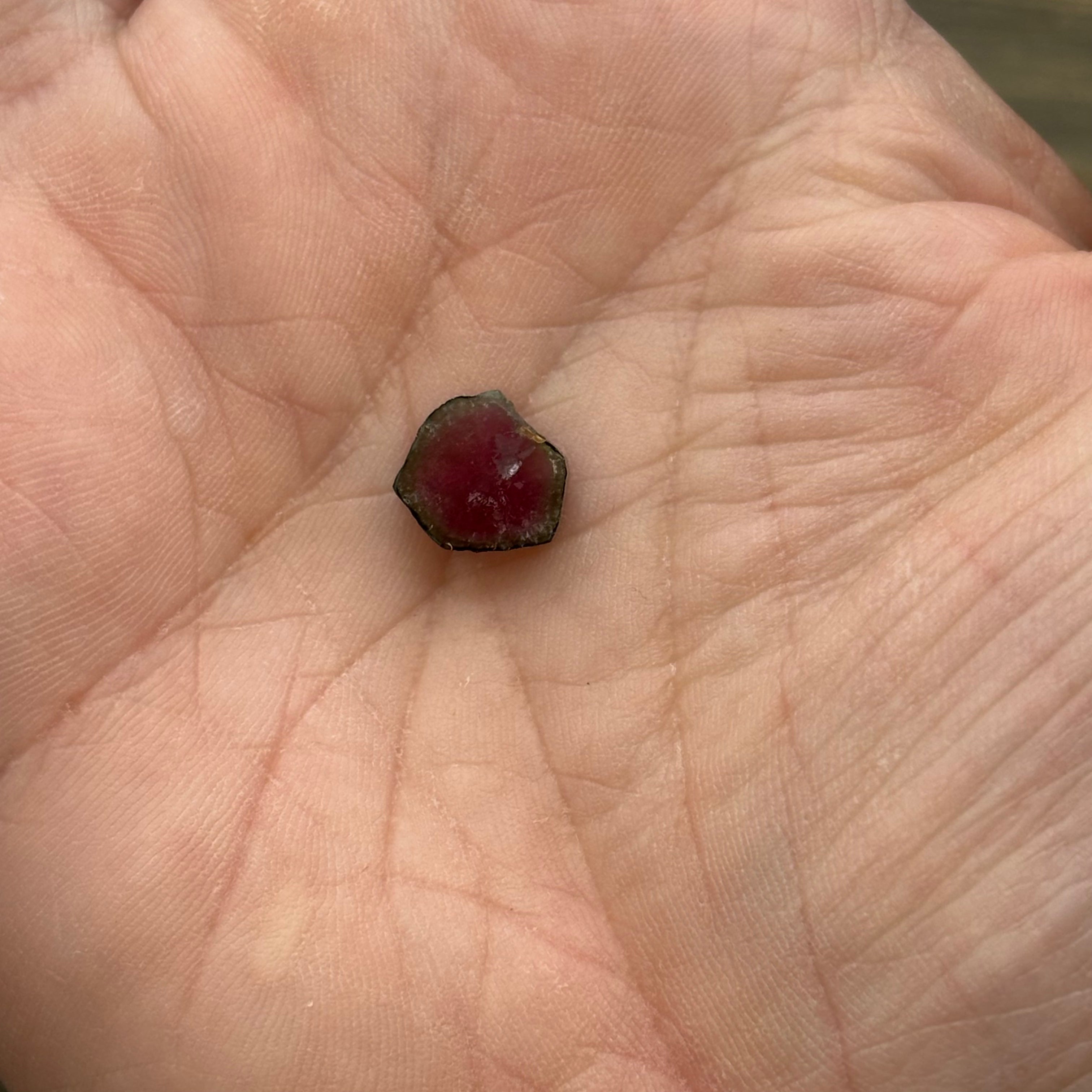 Watermelon Tourmaline Cross-Section - 092
