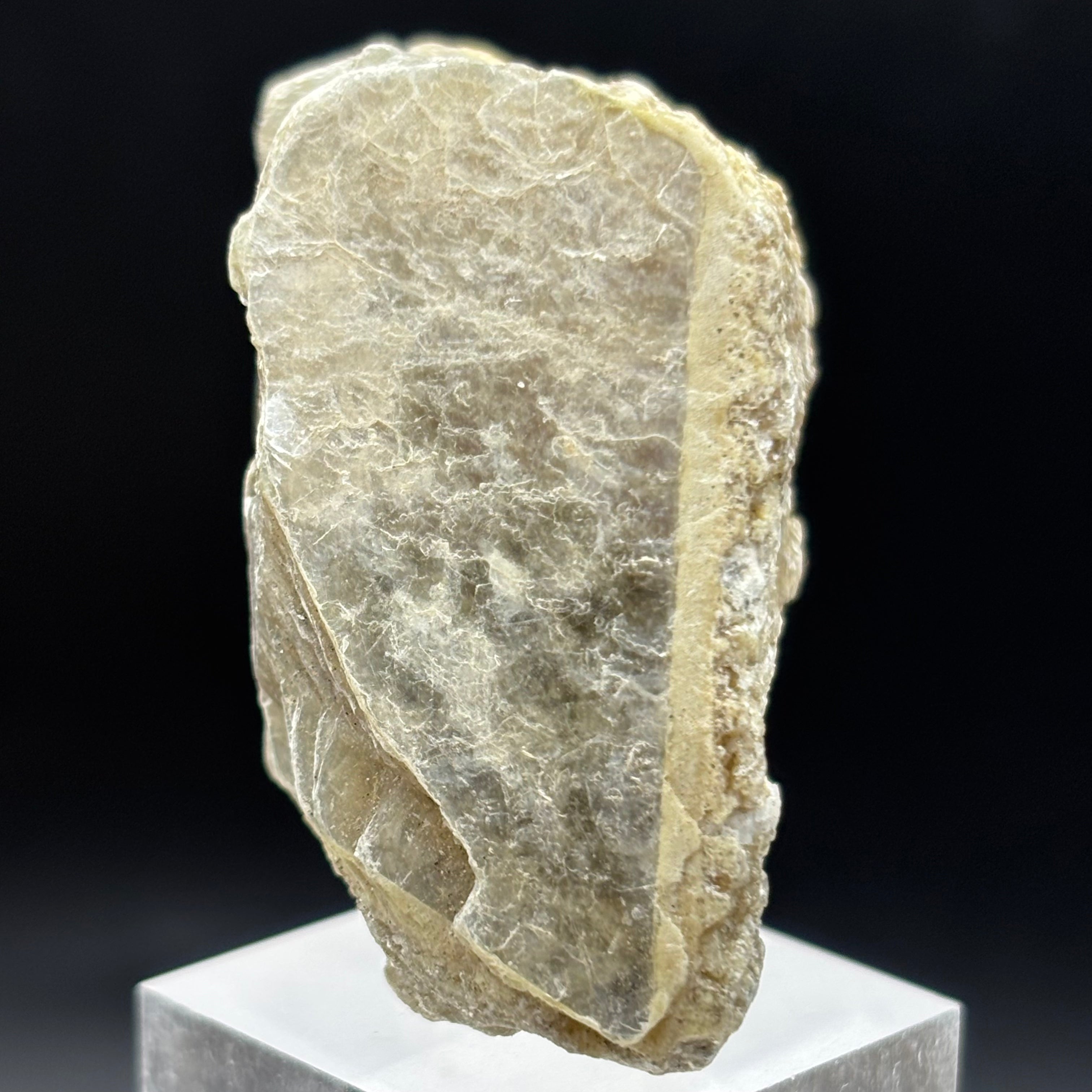 Green Gold Mica - 069