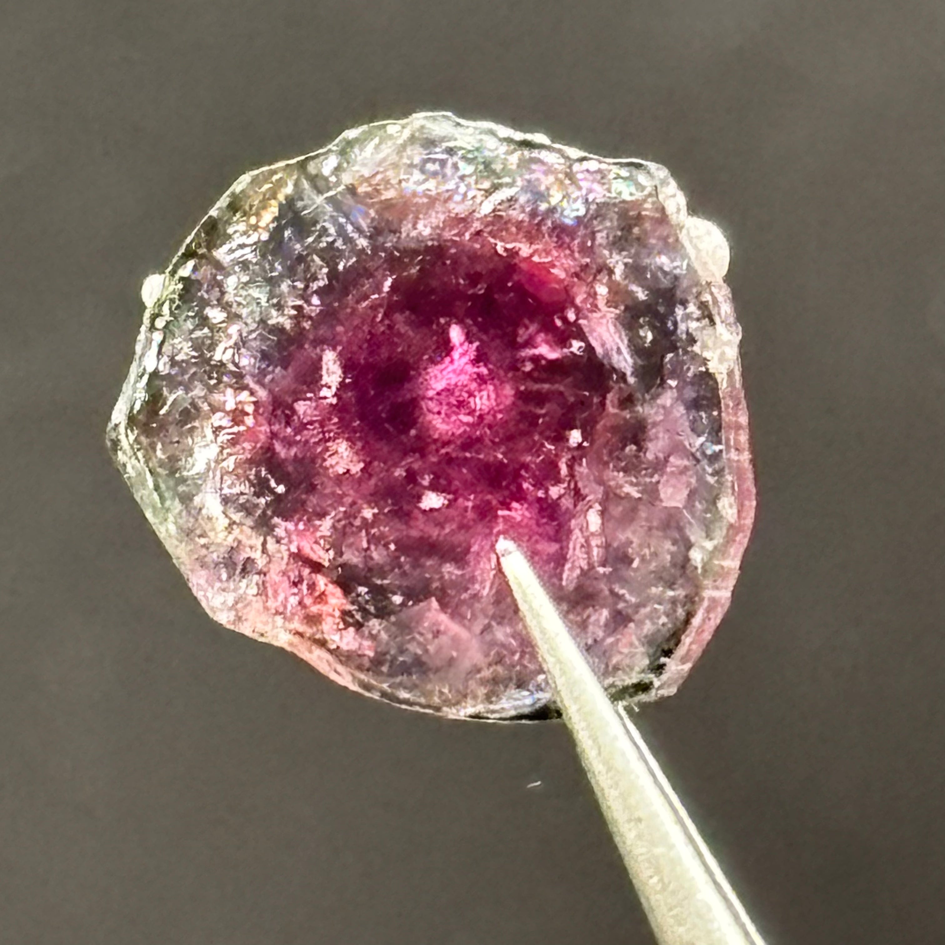 Watermelon Tourmaline Cross-Section - 093