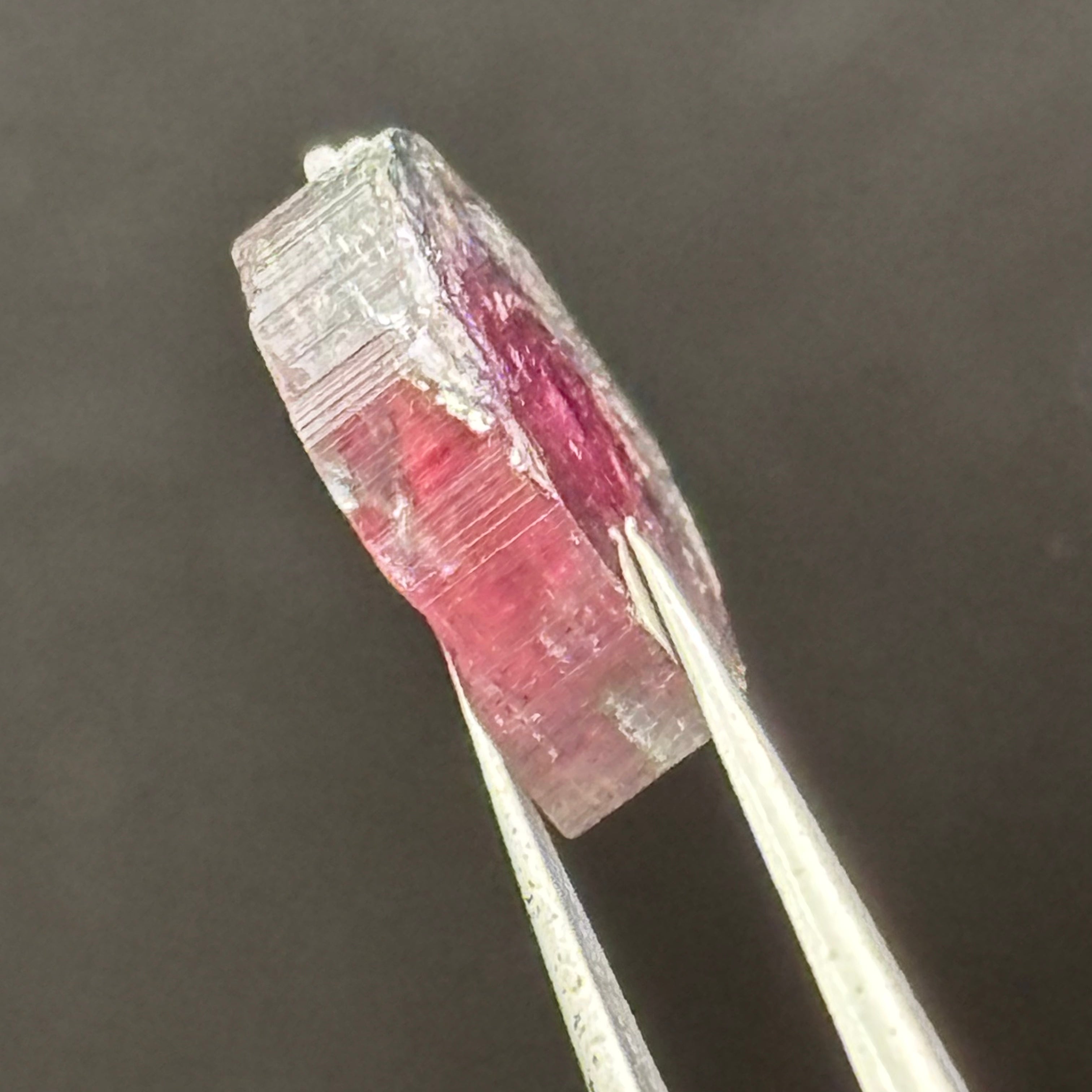Watermelon Tourmaline Cross-Section - 093