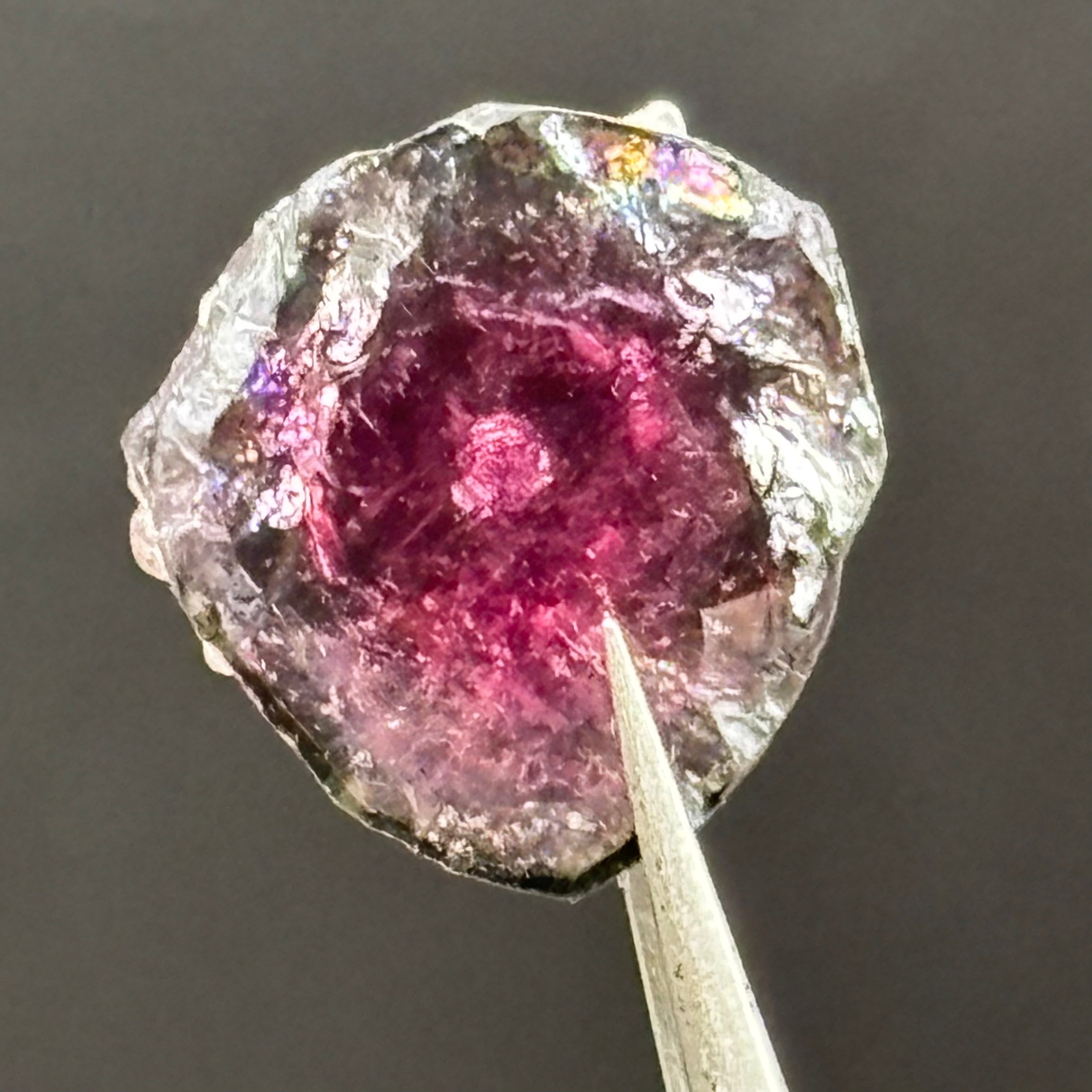 Watermelon Tourmaline Cross-Section - 093