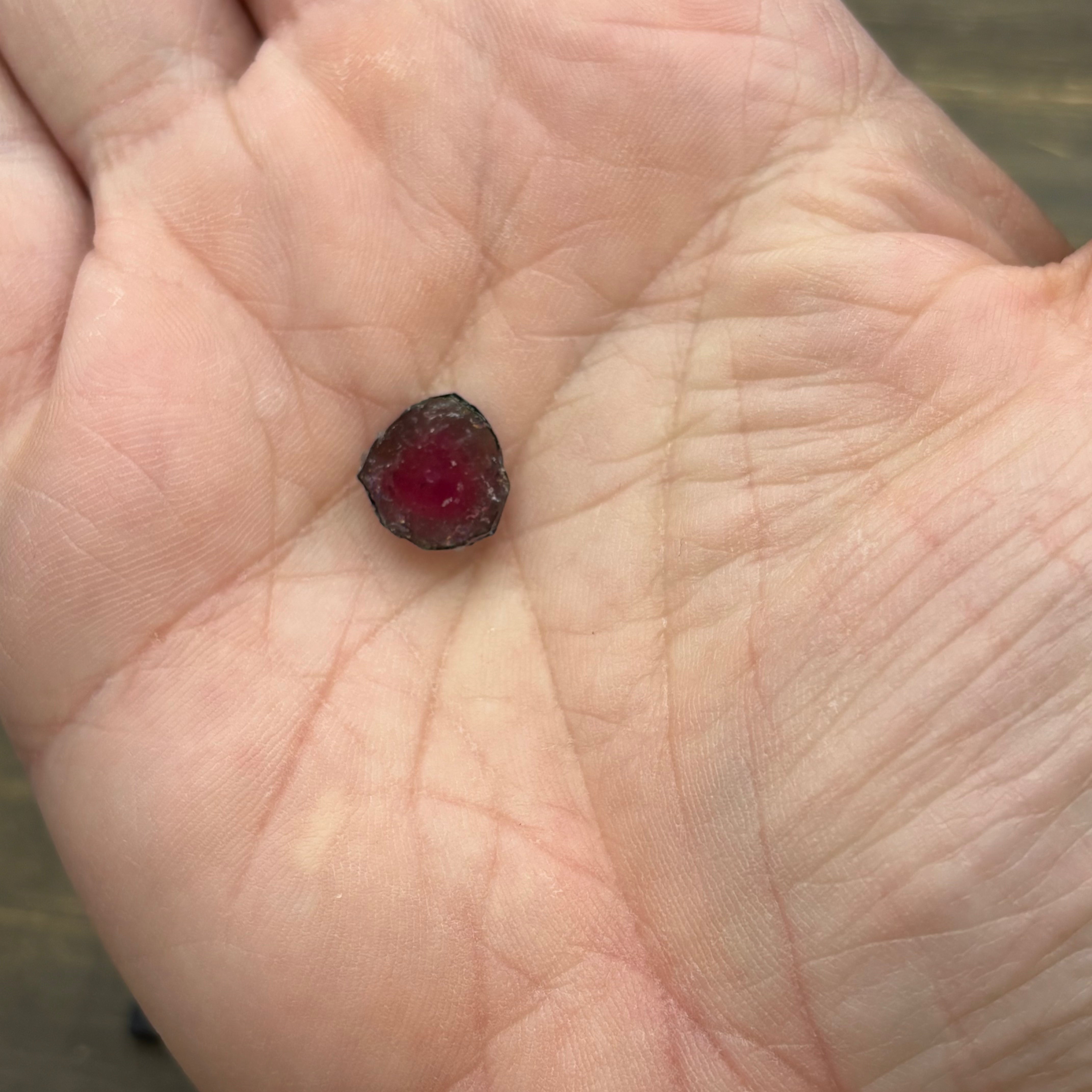 Watermelon Tourmaline Cross-Section - 093