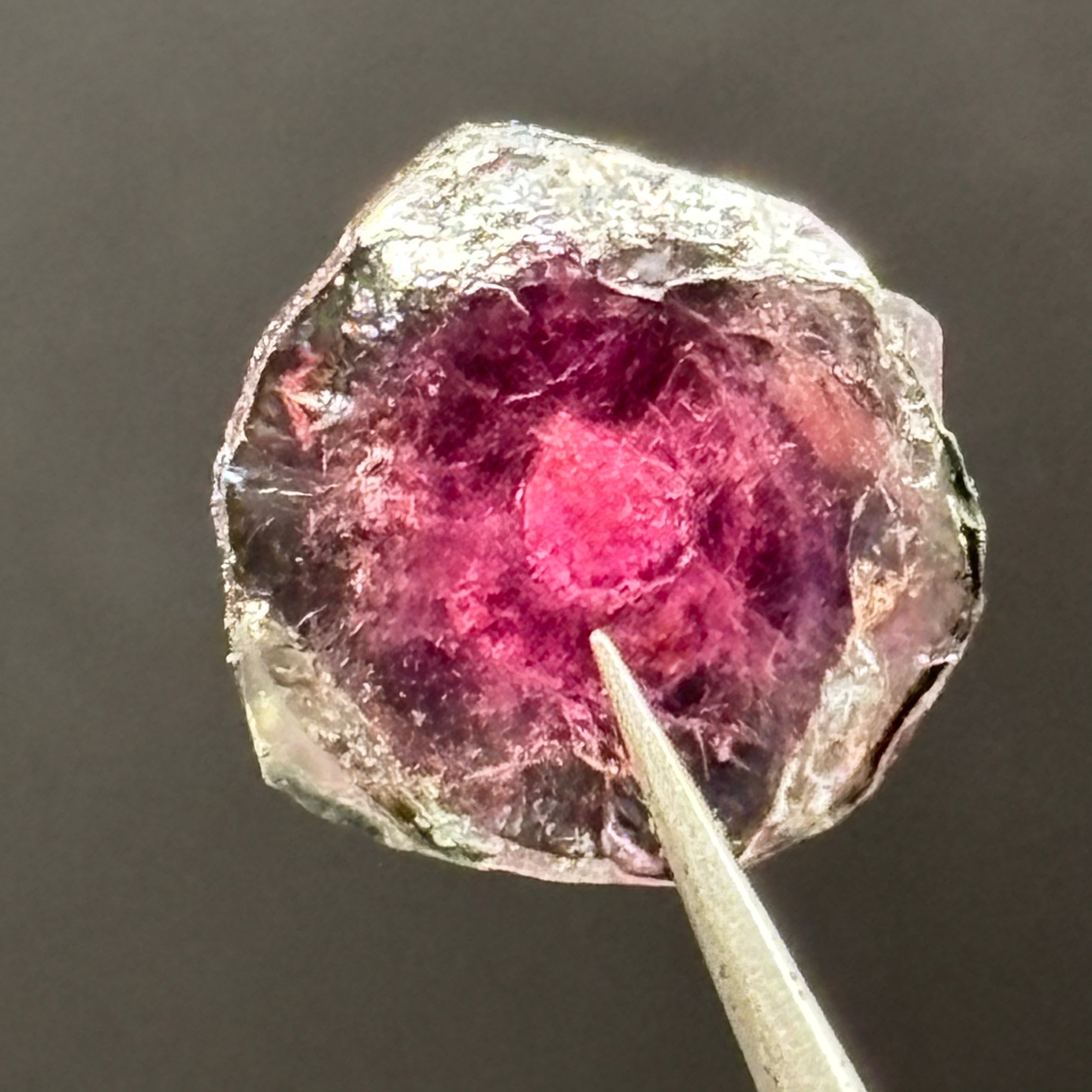Watermelon Tourmaline Cross-Section - 094