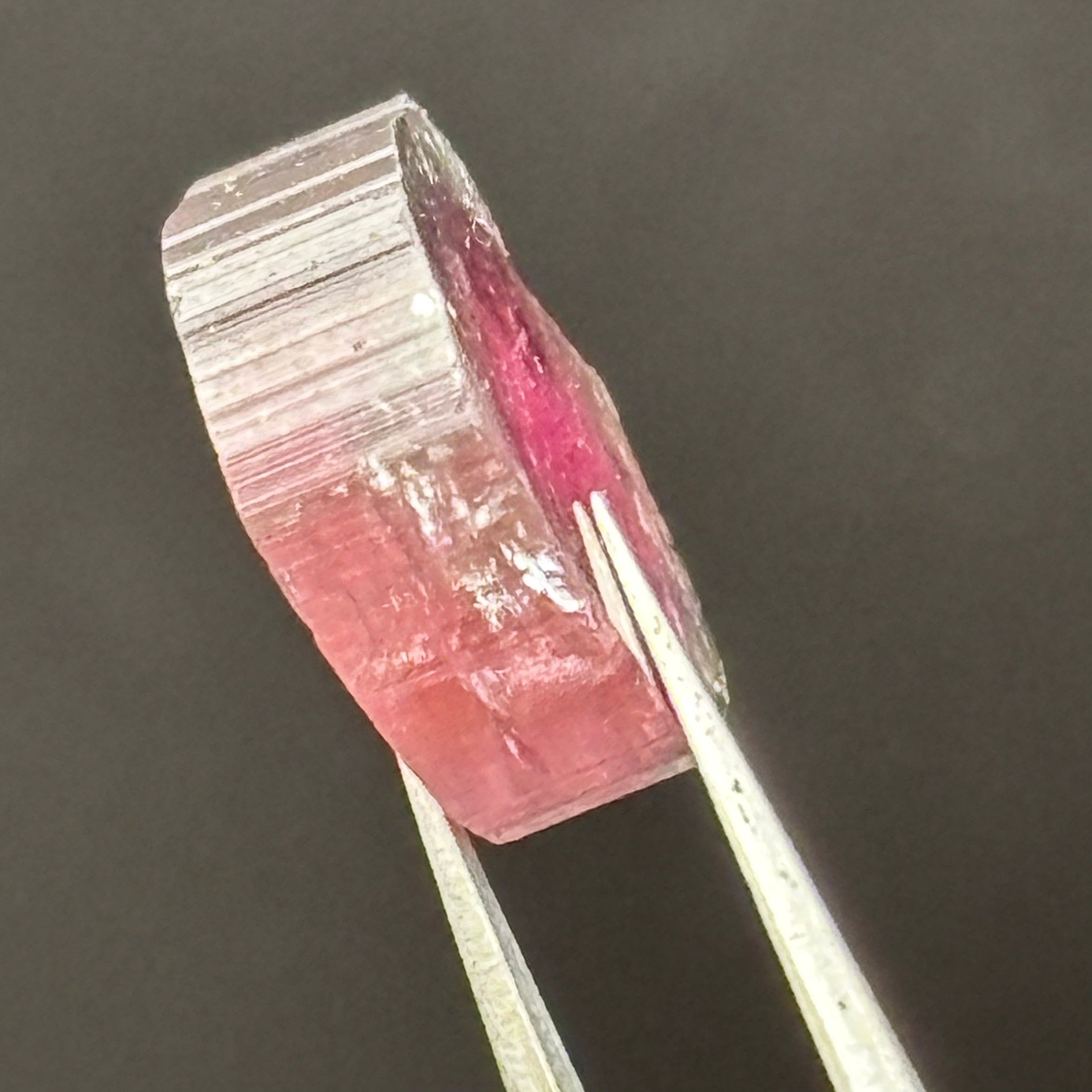 Watermelon Tourmaline Cross-Section - 094