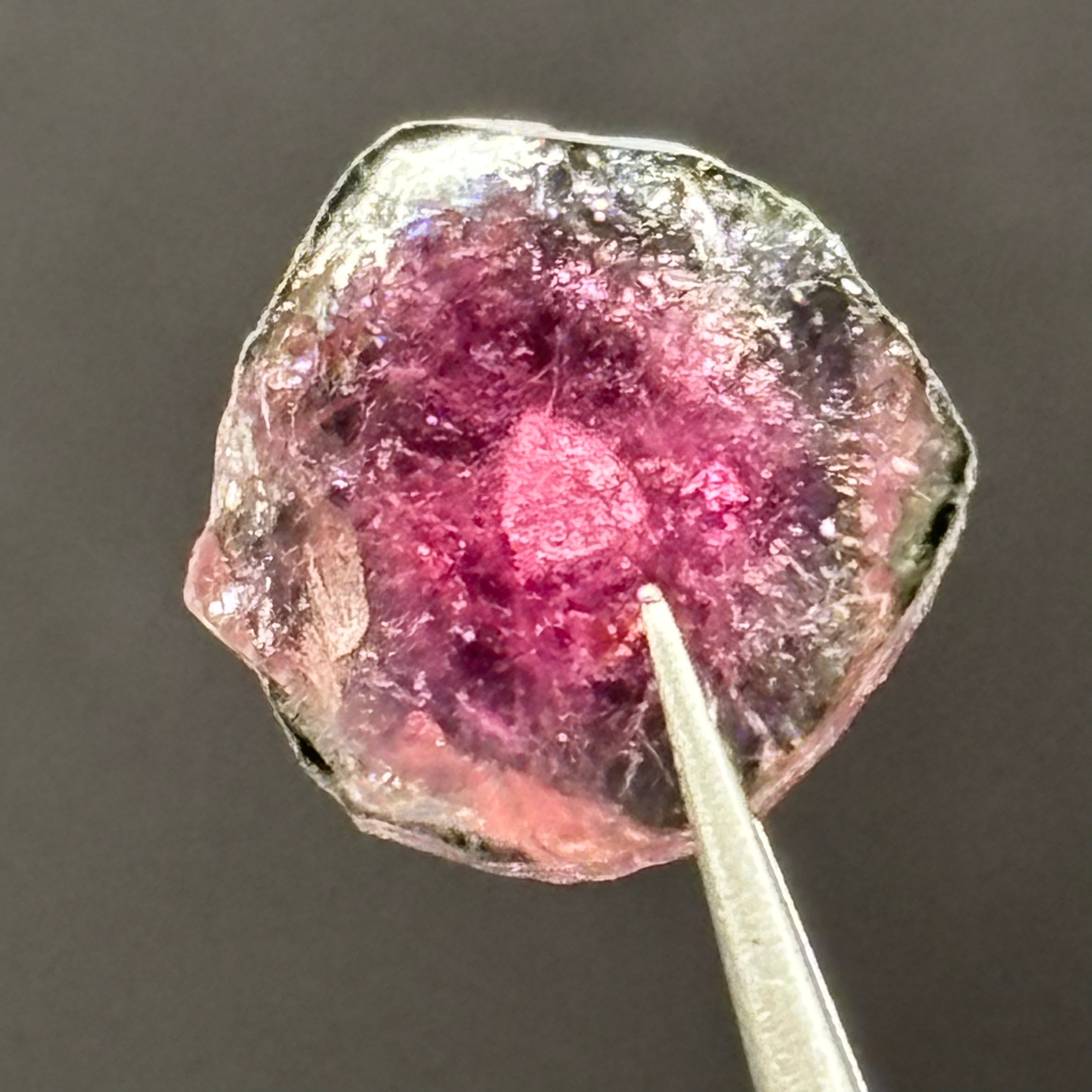 Watermelon Tourmaline Cross-Section - 094