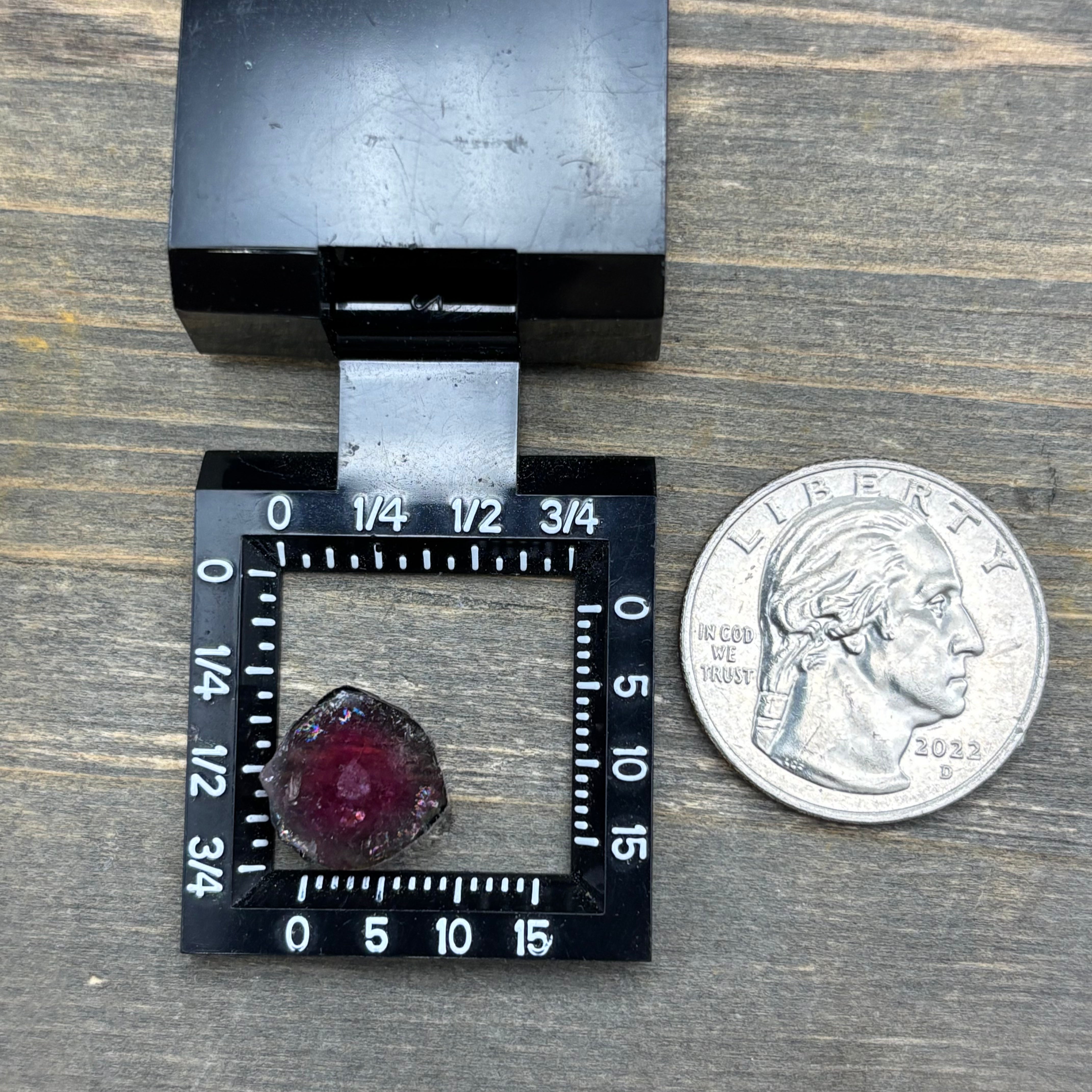 Watermelon Tourmaline Cross-Section - 094