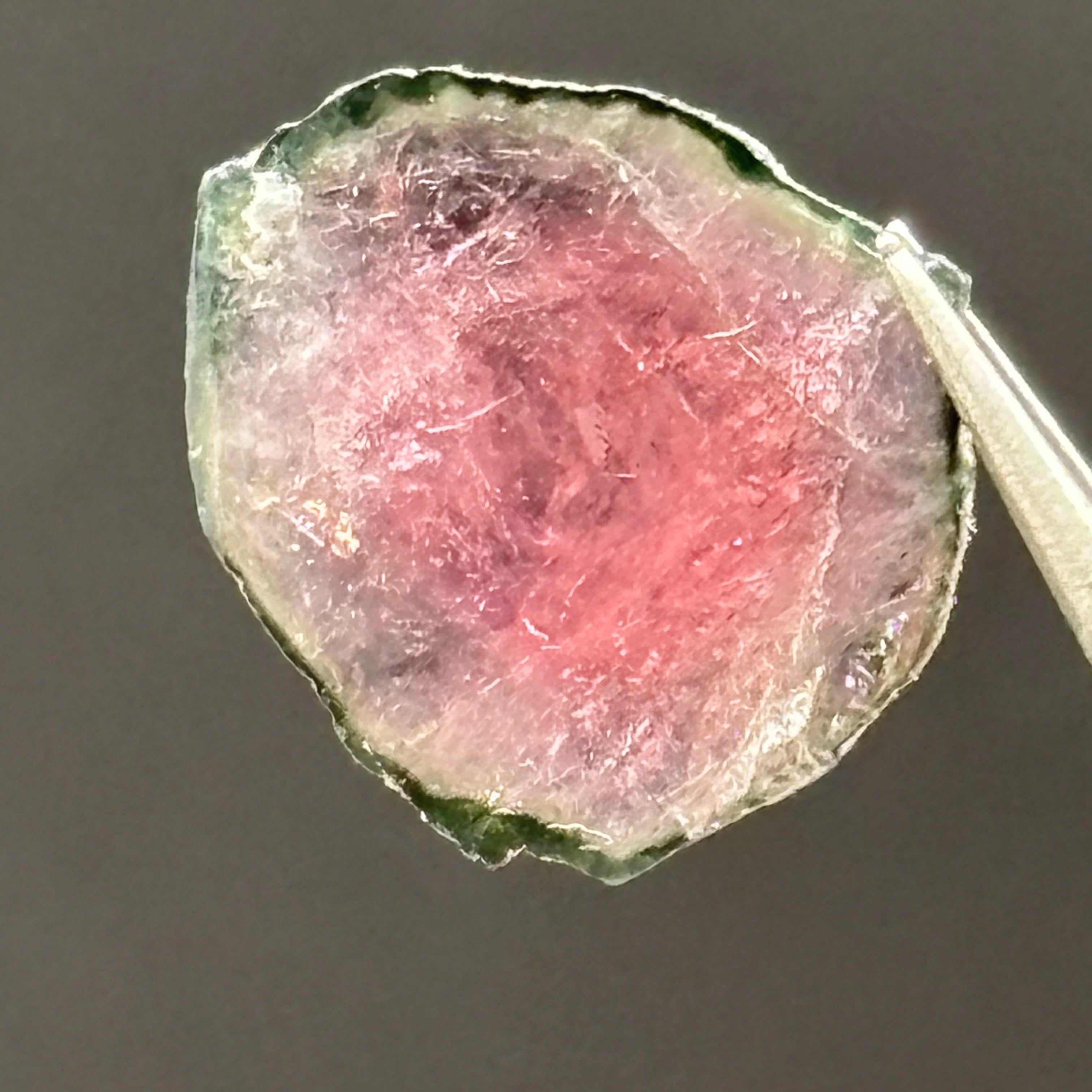 Watermelon Tourmaline Cross-Section - 095