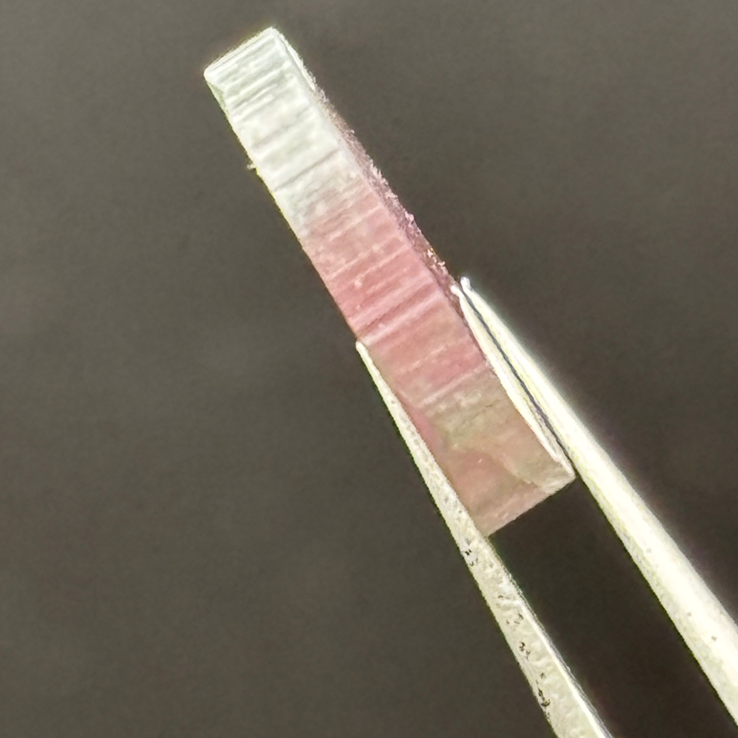 Watermelon Tourmaline Cross-Section - 095