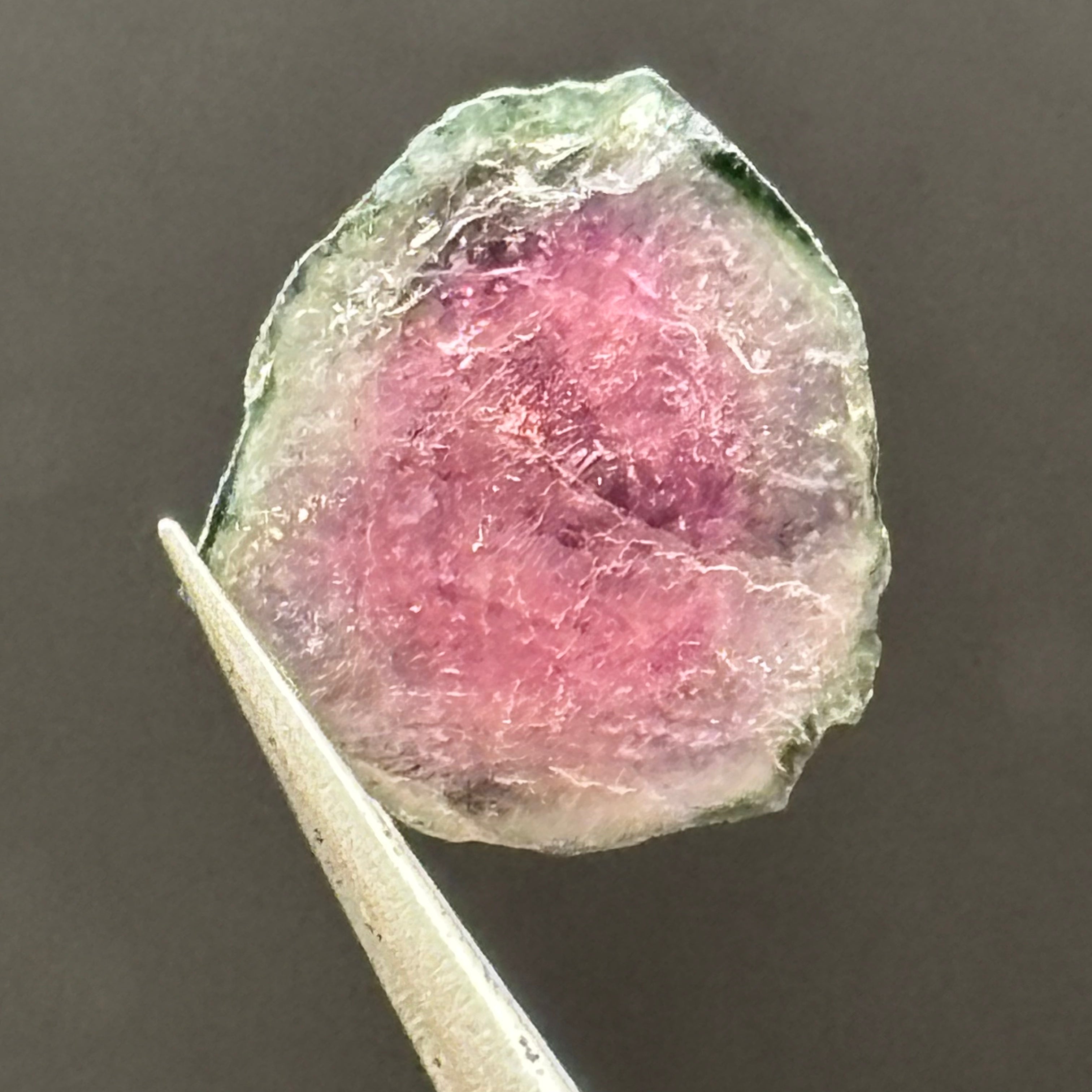 Watermelon Tourmaline Cross-Section - 095