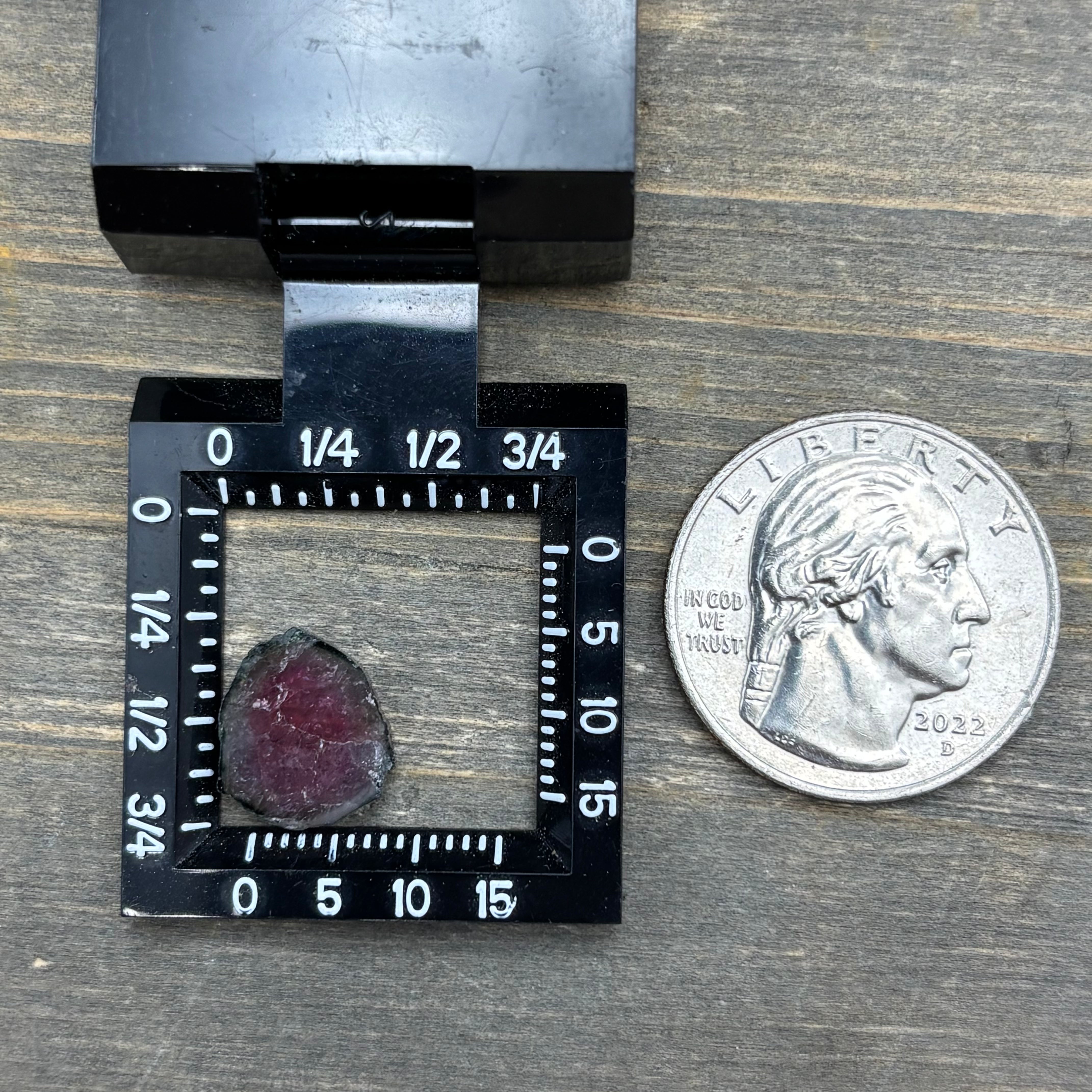 Watermelon Tourmaline Cross-Section - 095