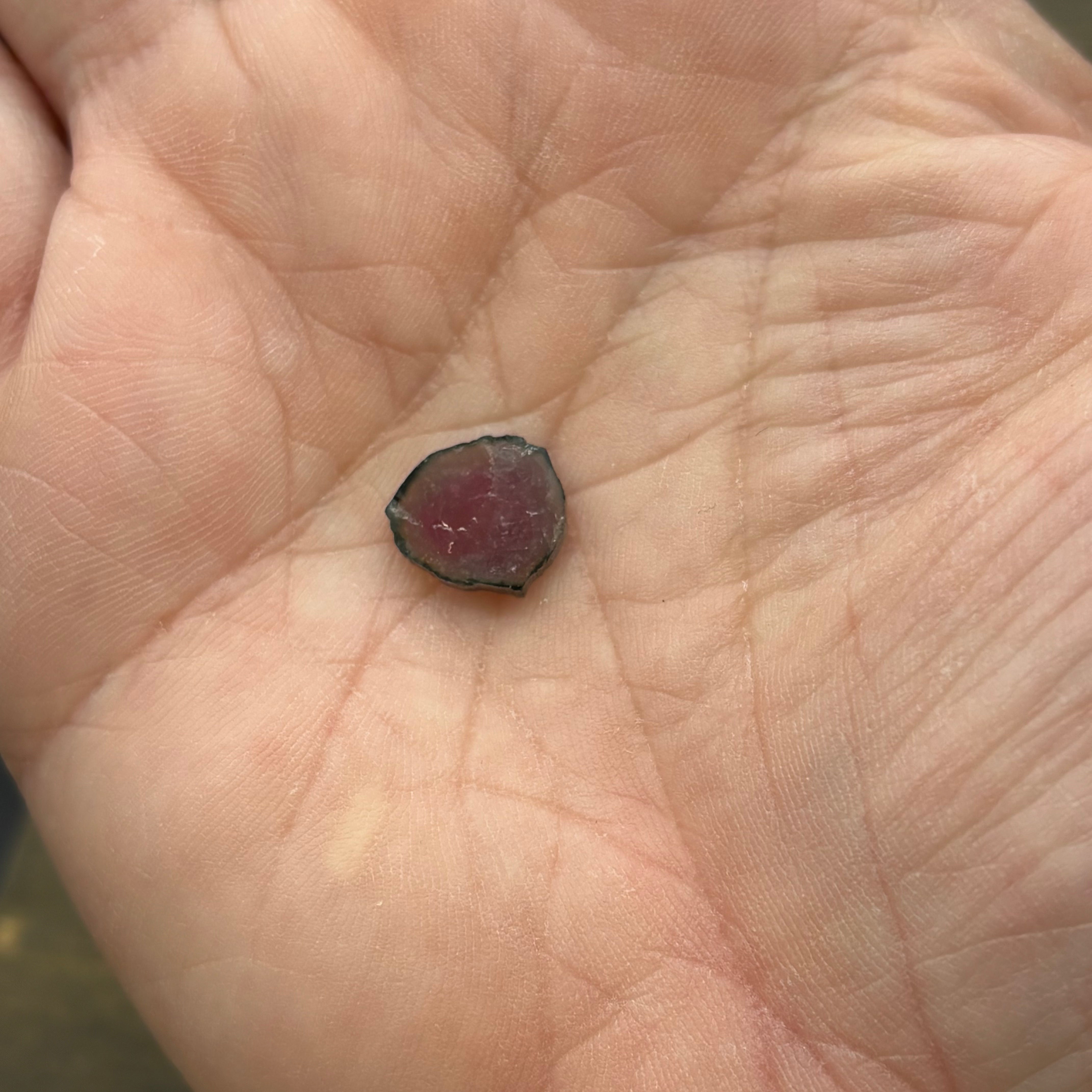 Watermelon Tourmaline Cross-Section - 095