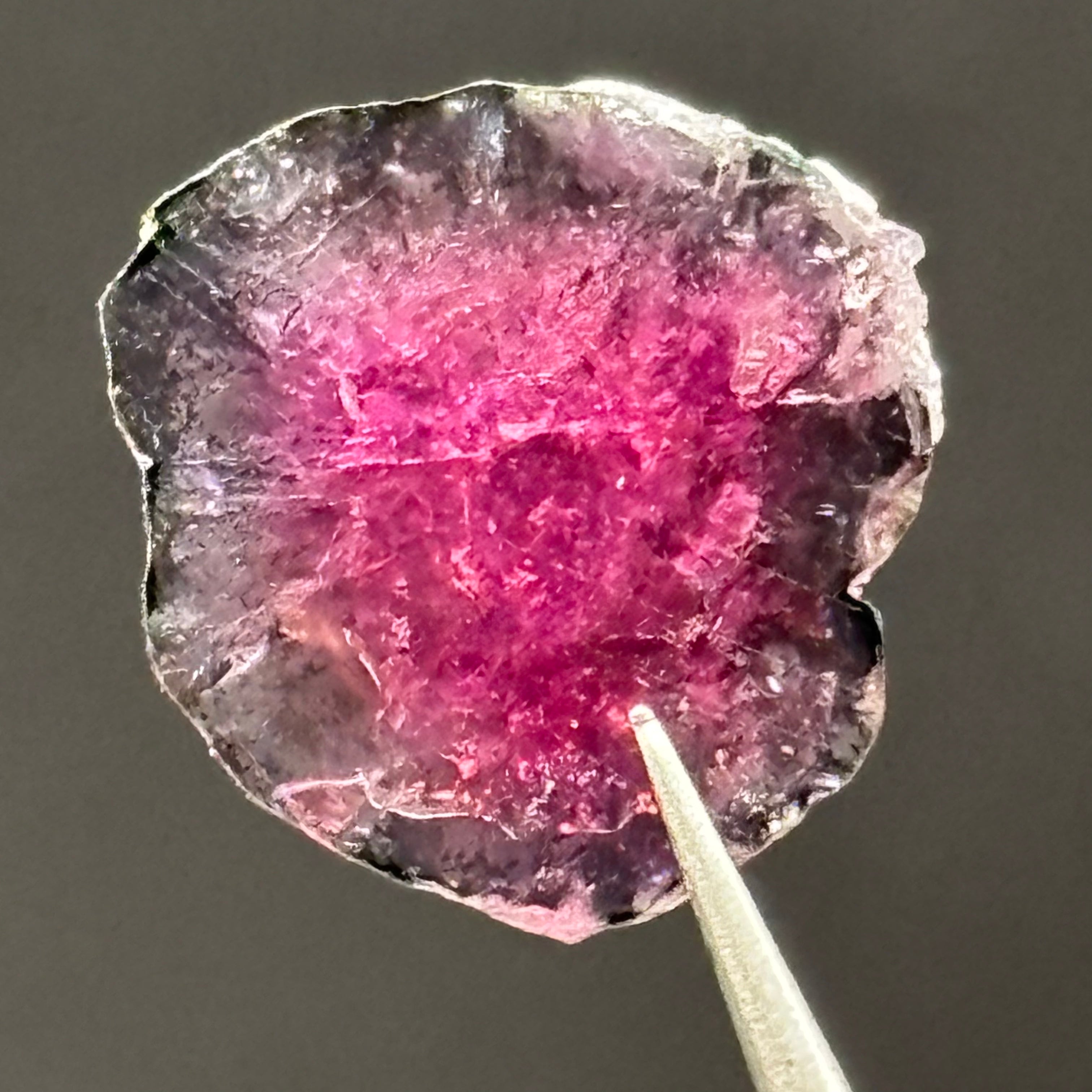Watermelon Tourmaline Cross-Section - 096