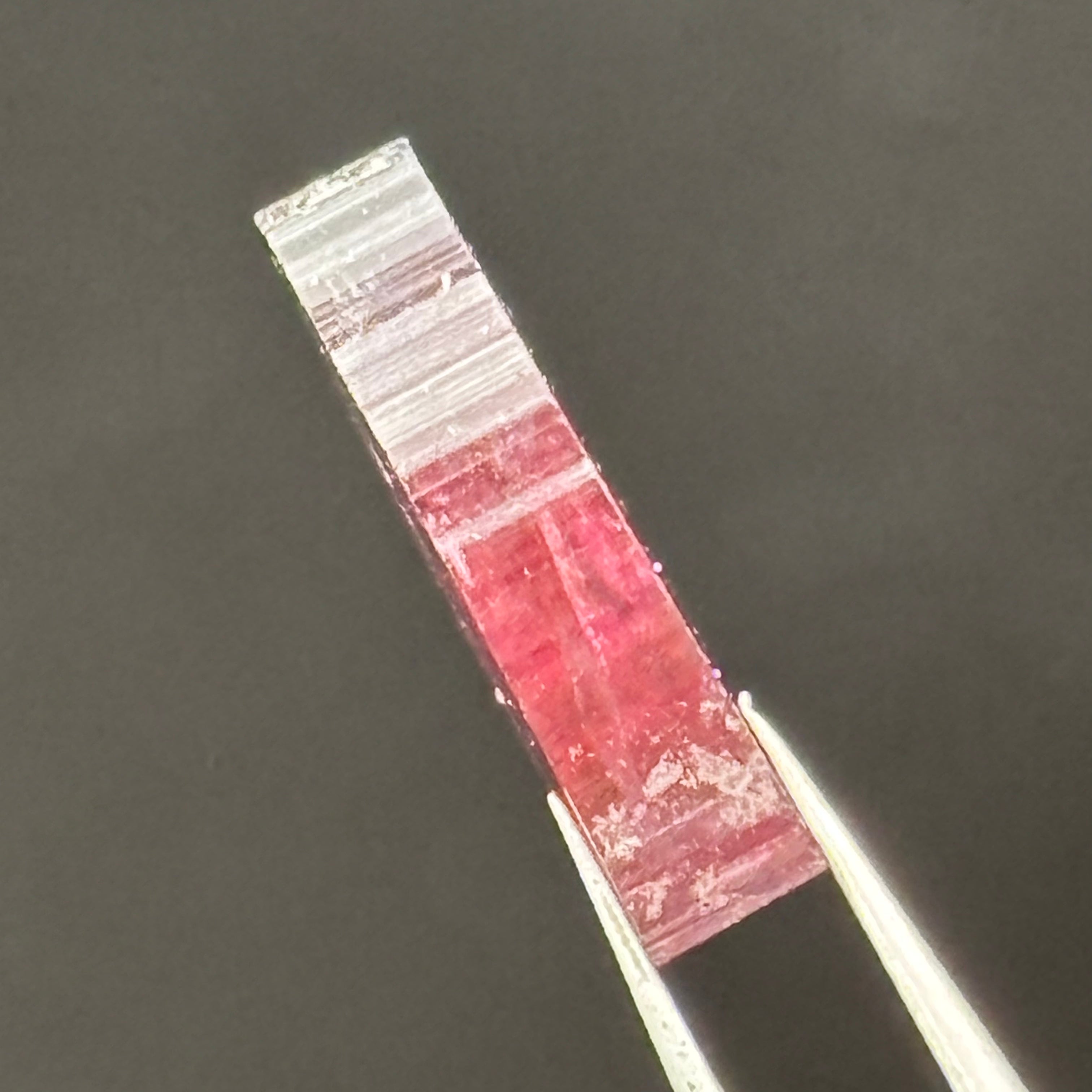 Watermelon Tourmaline Cross-Section - 096
