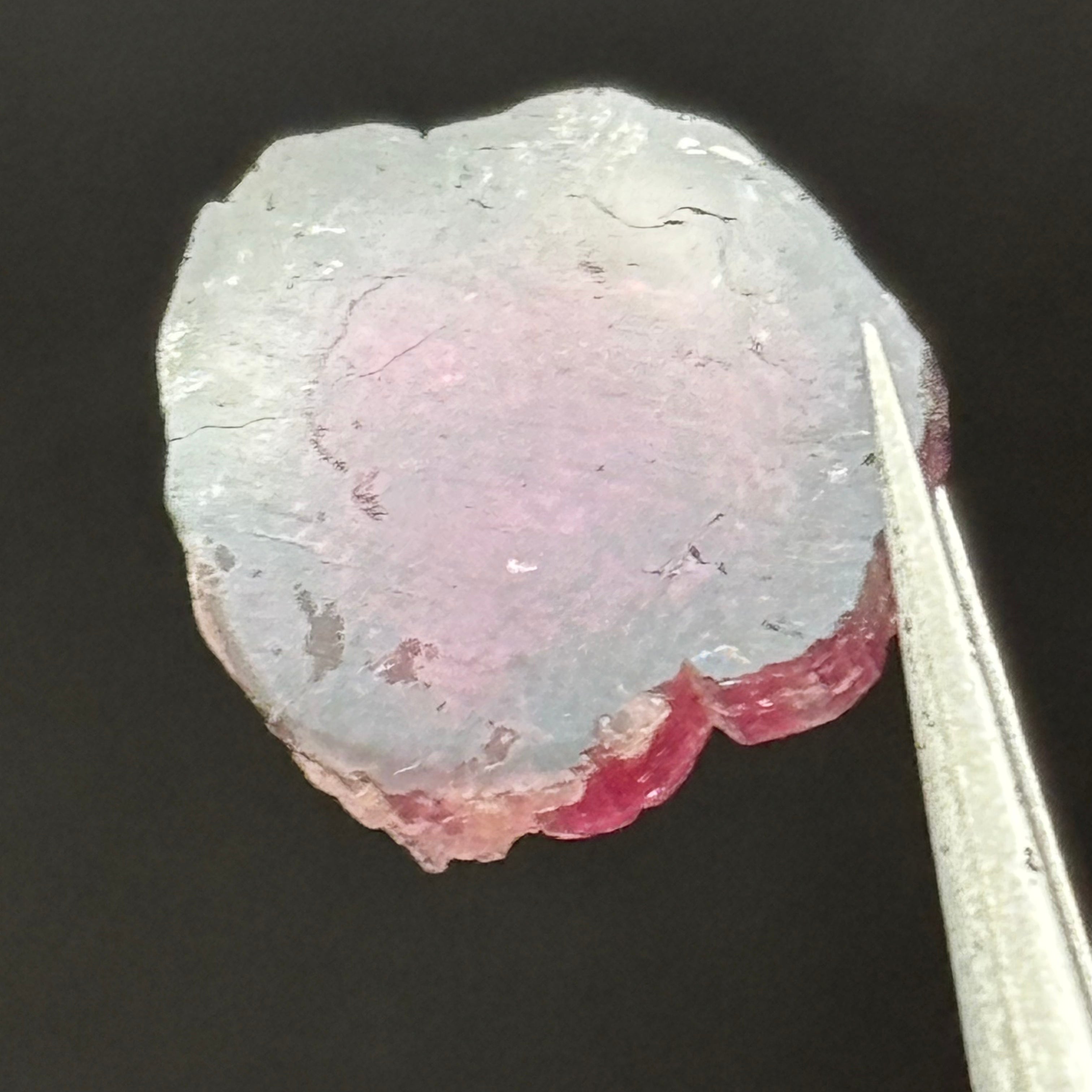 Watermelon Tourmaline Cross-Section - 096