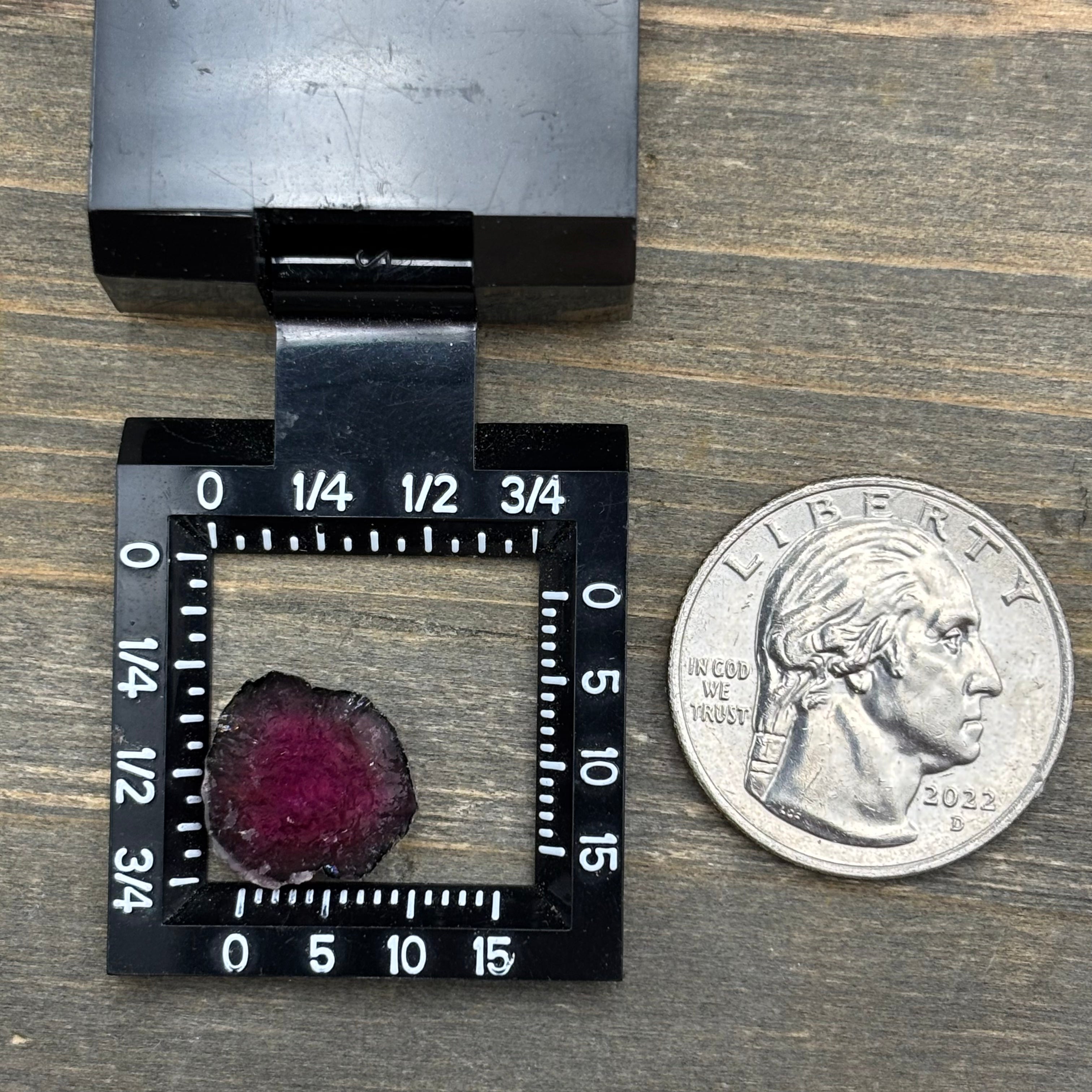 Watermelon Tourmaline Cross-Section - 096