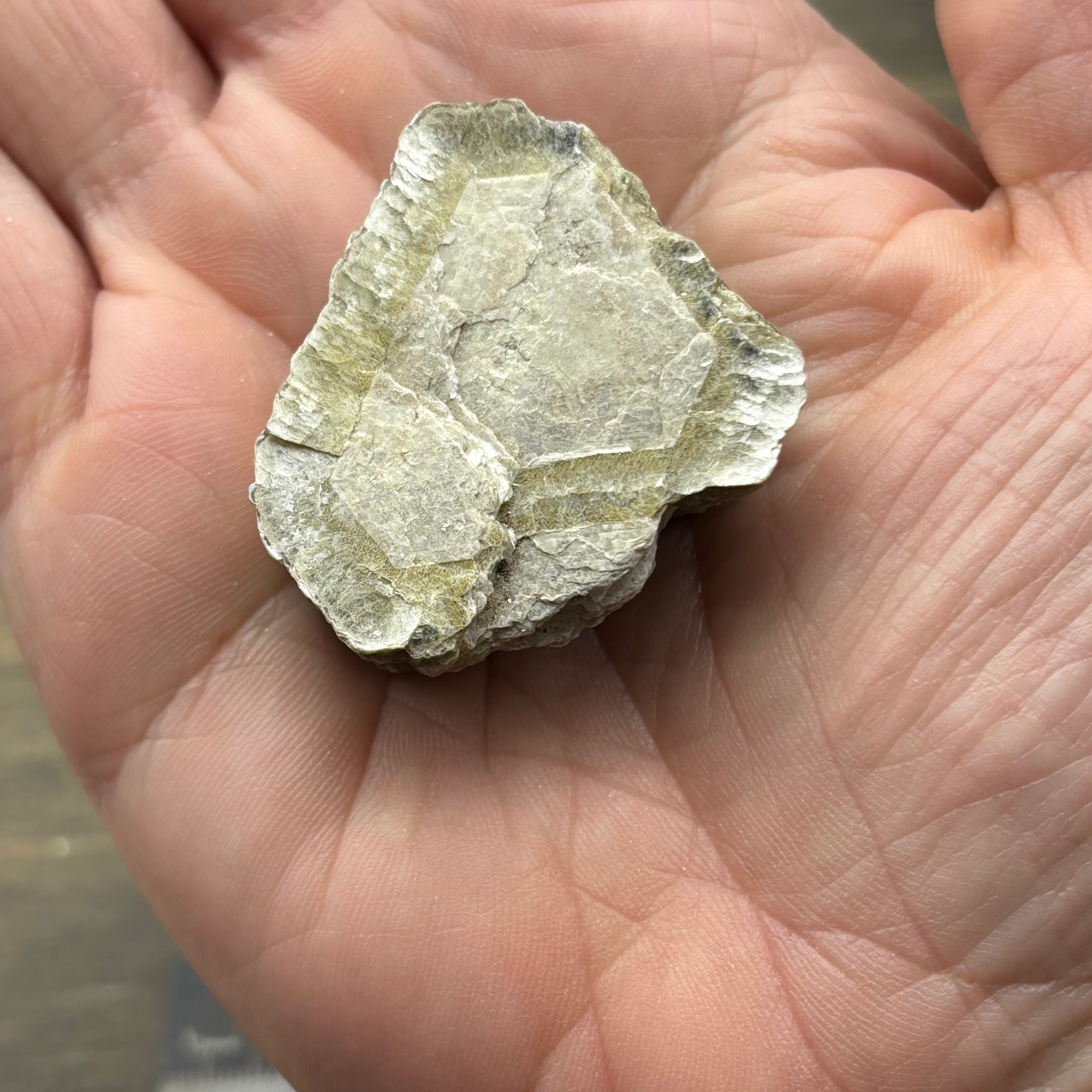 Green Gold Mica - 072
