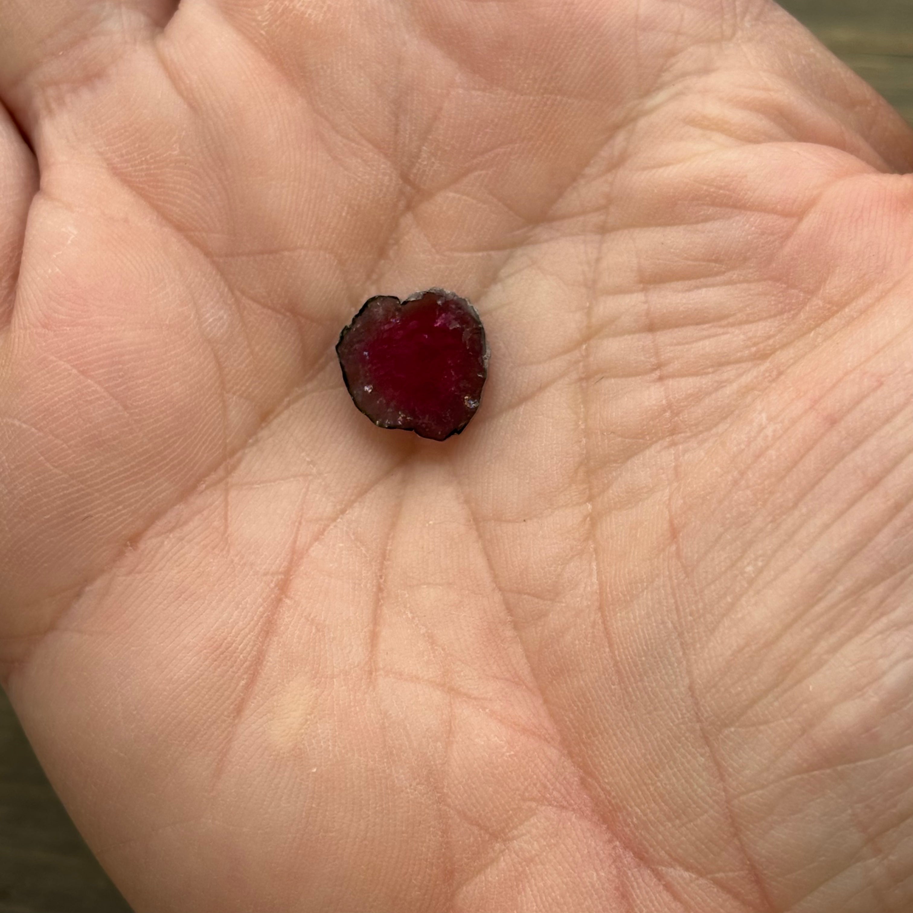 Watermelon Tourmaline Cross-Section - 096