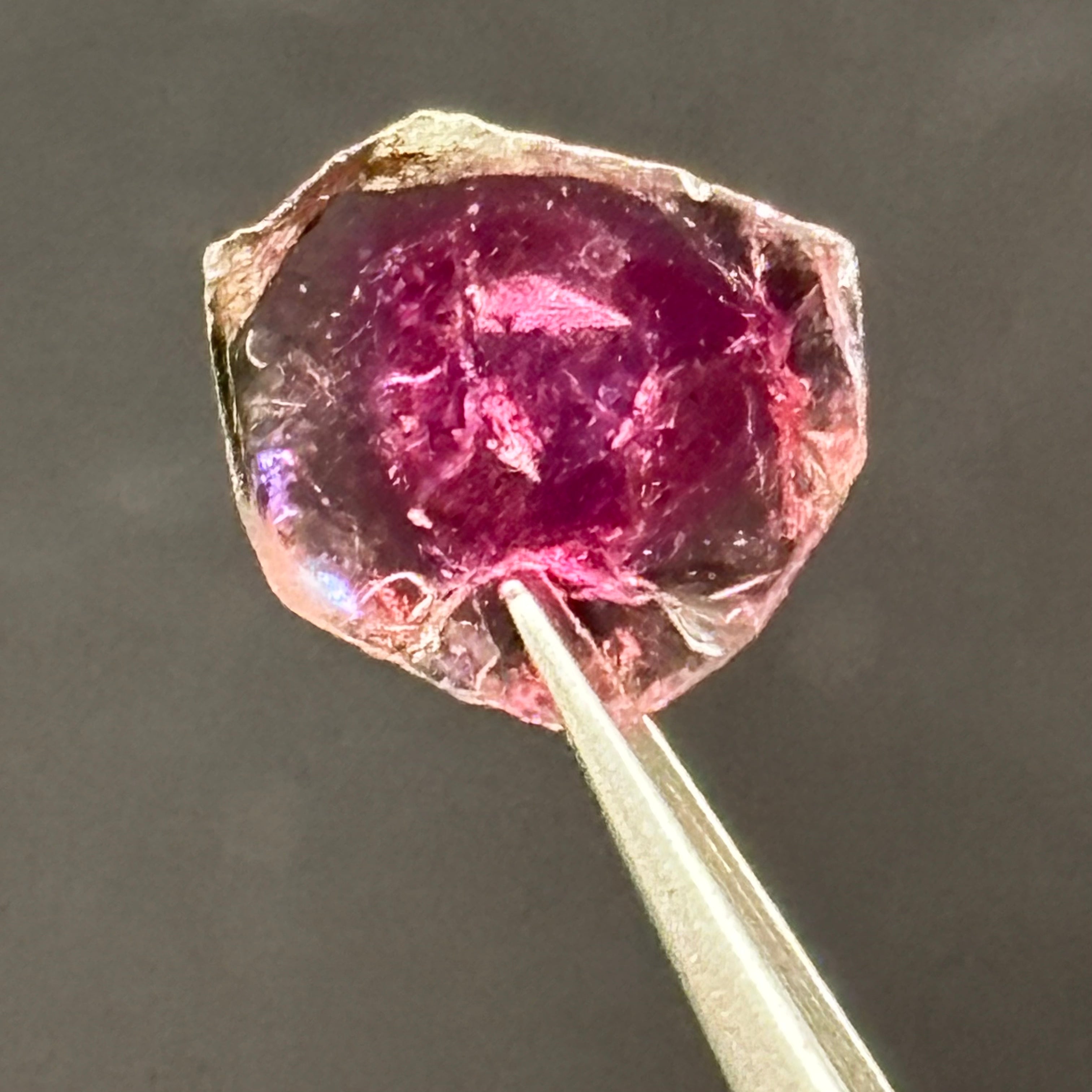 Watermelon Tourmaline Cross-Section - 097