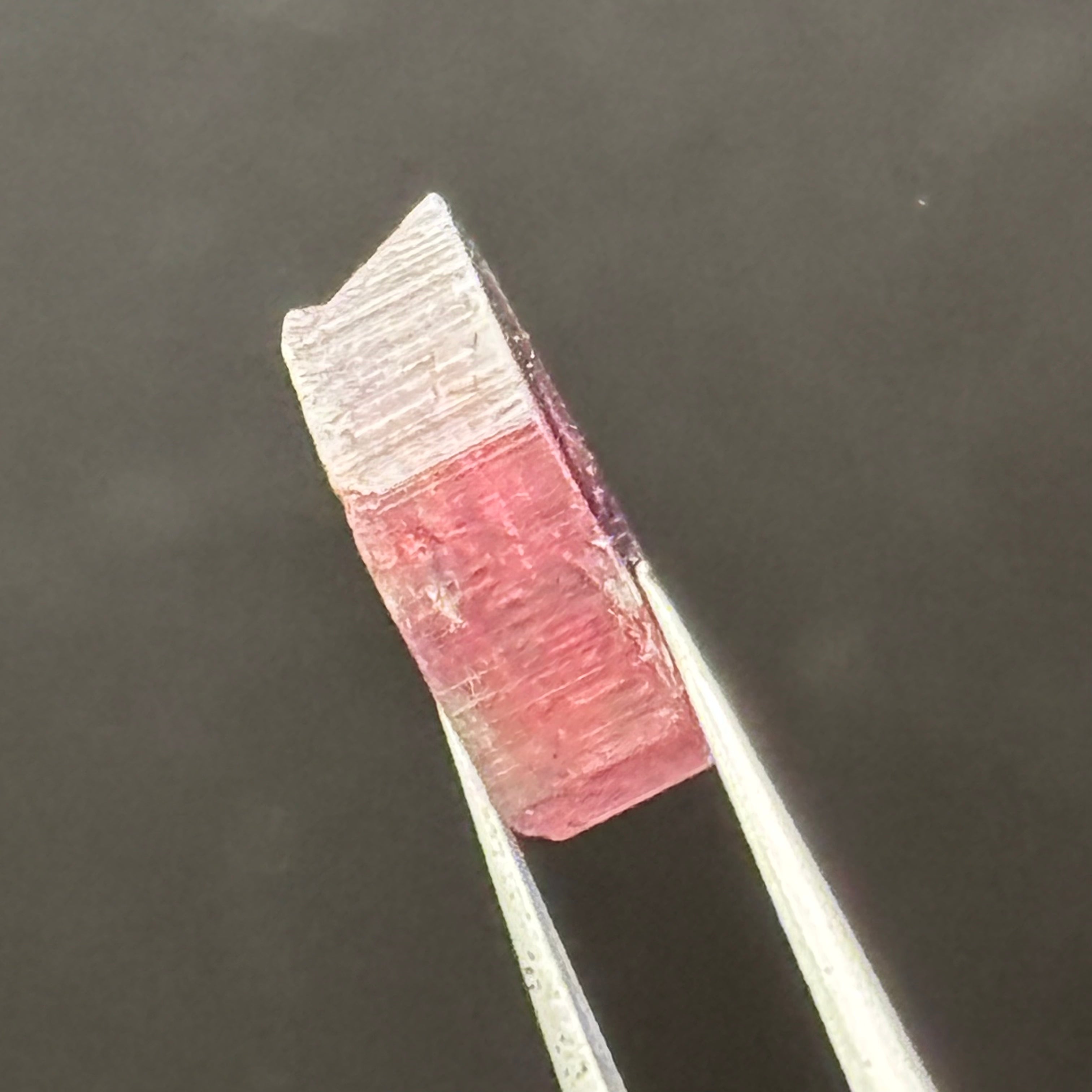 Watermelon Tourmaline Cross-Section - 097