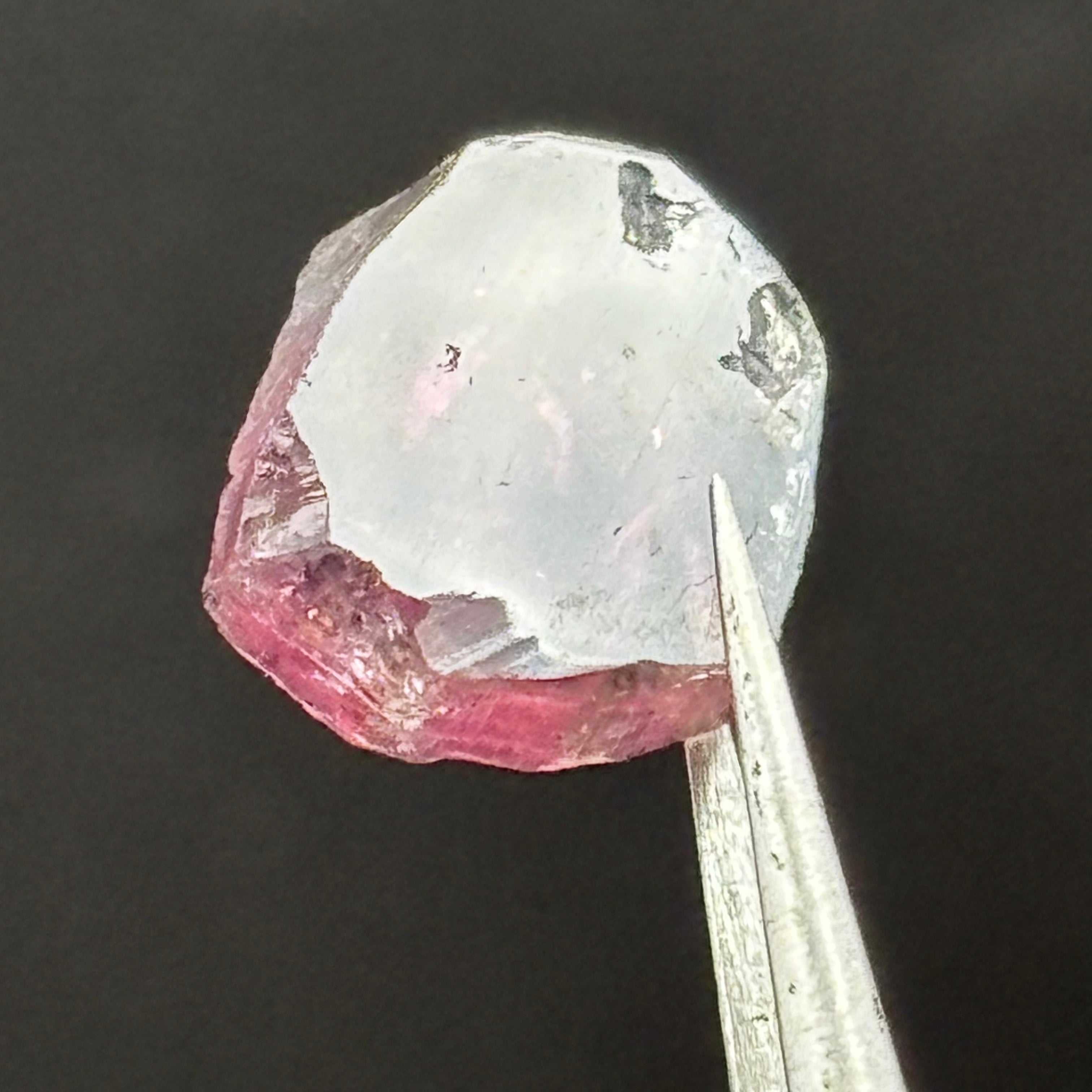 Watermelon Tourmaline Cross-Section - 097