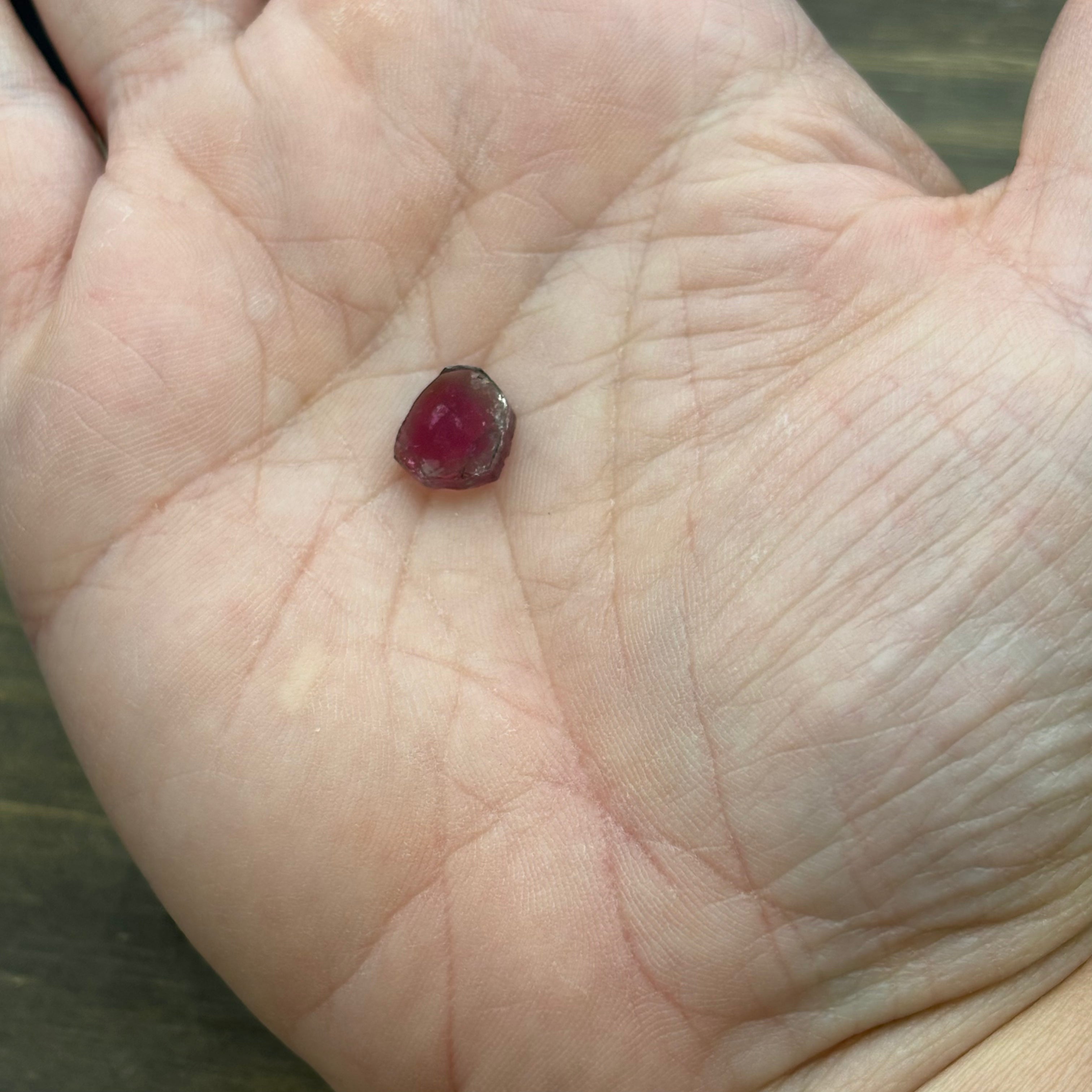 Watermelon Tourmaline Cross-Section - 097