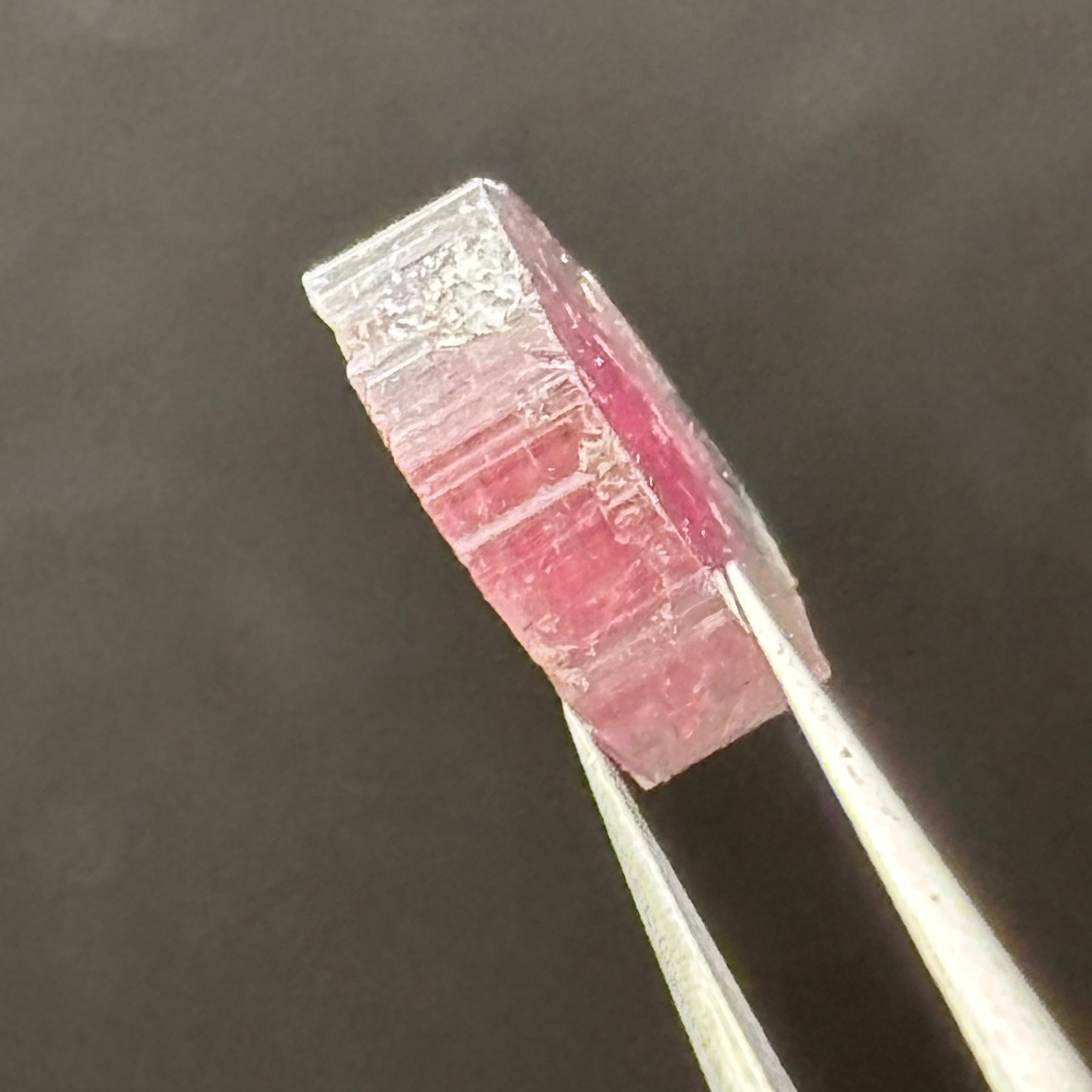 Watermelon Tourmaline Cross-Section - 098