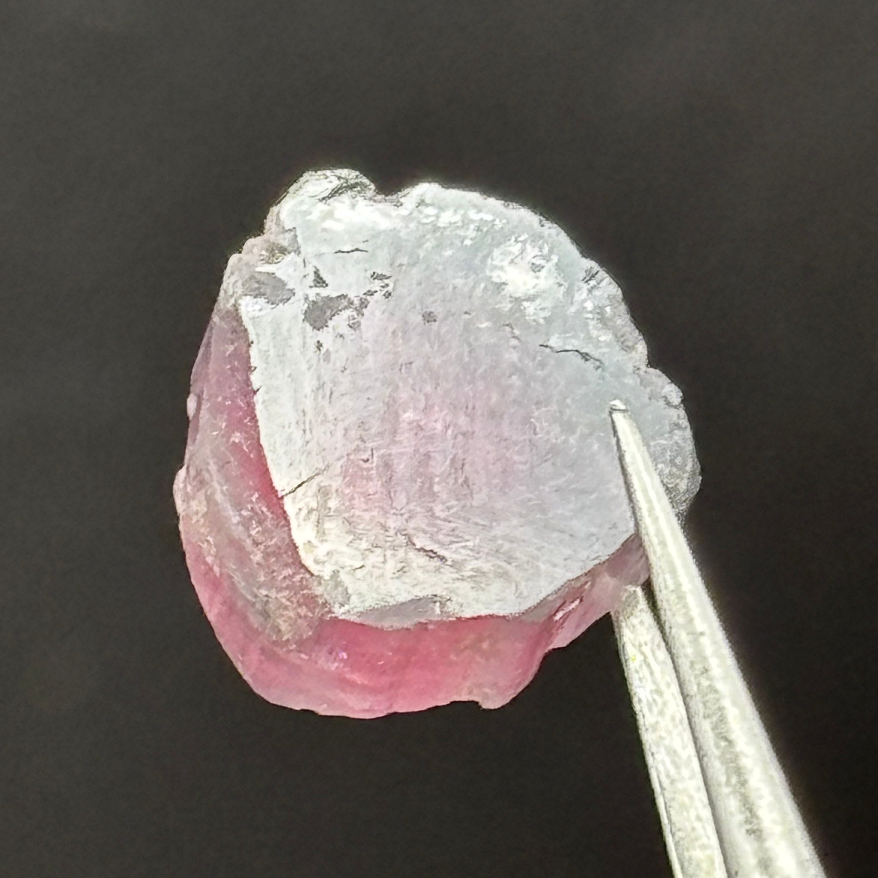 Watermelon Tourmaline Cross-Section - 098
