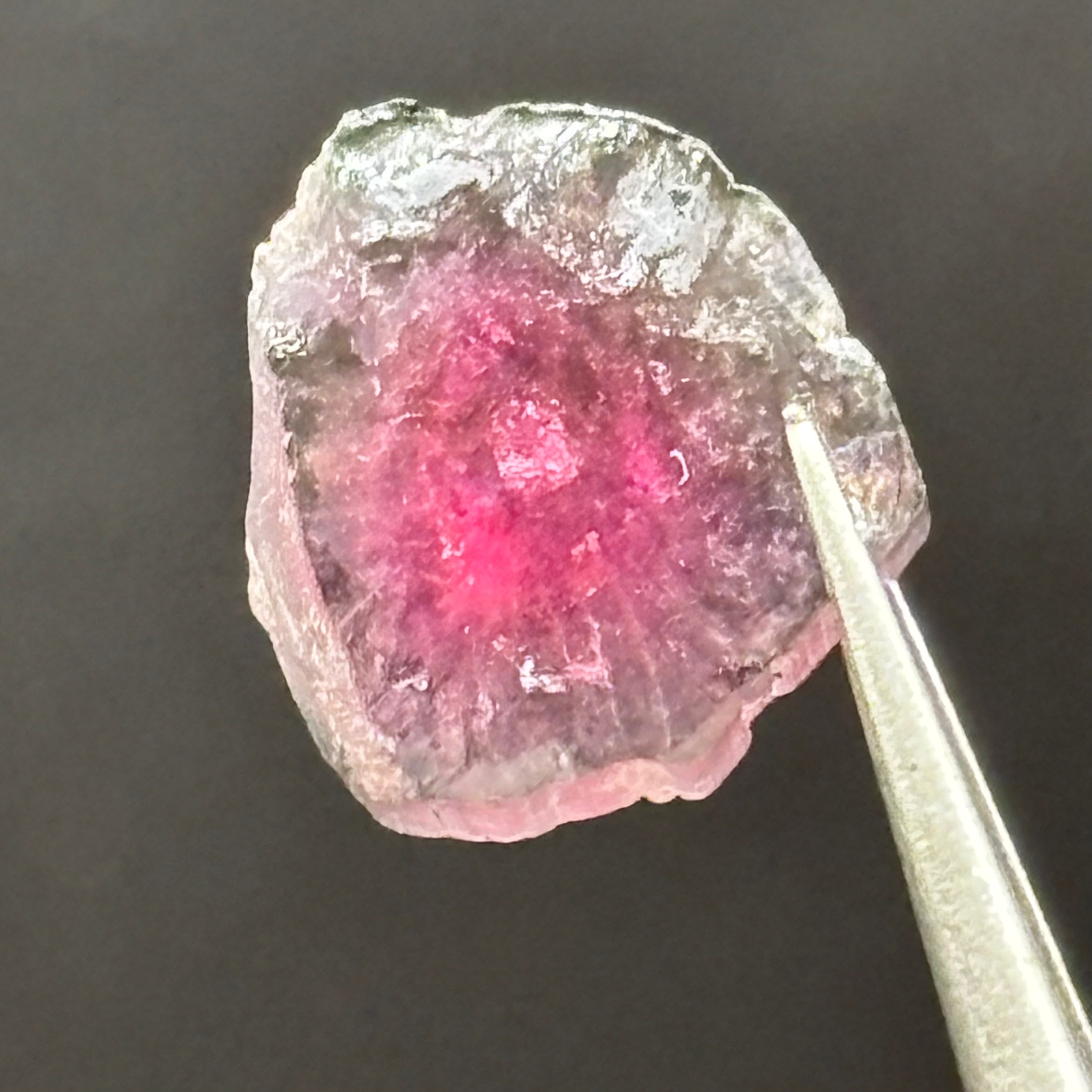 Watermelon Tourmaline Cross-Section - 098