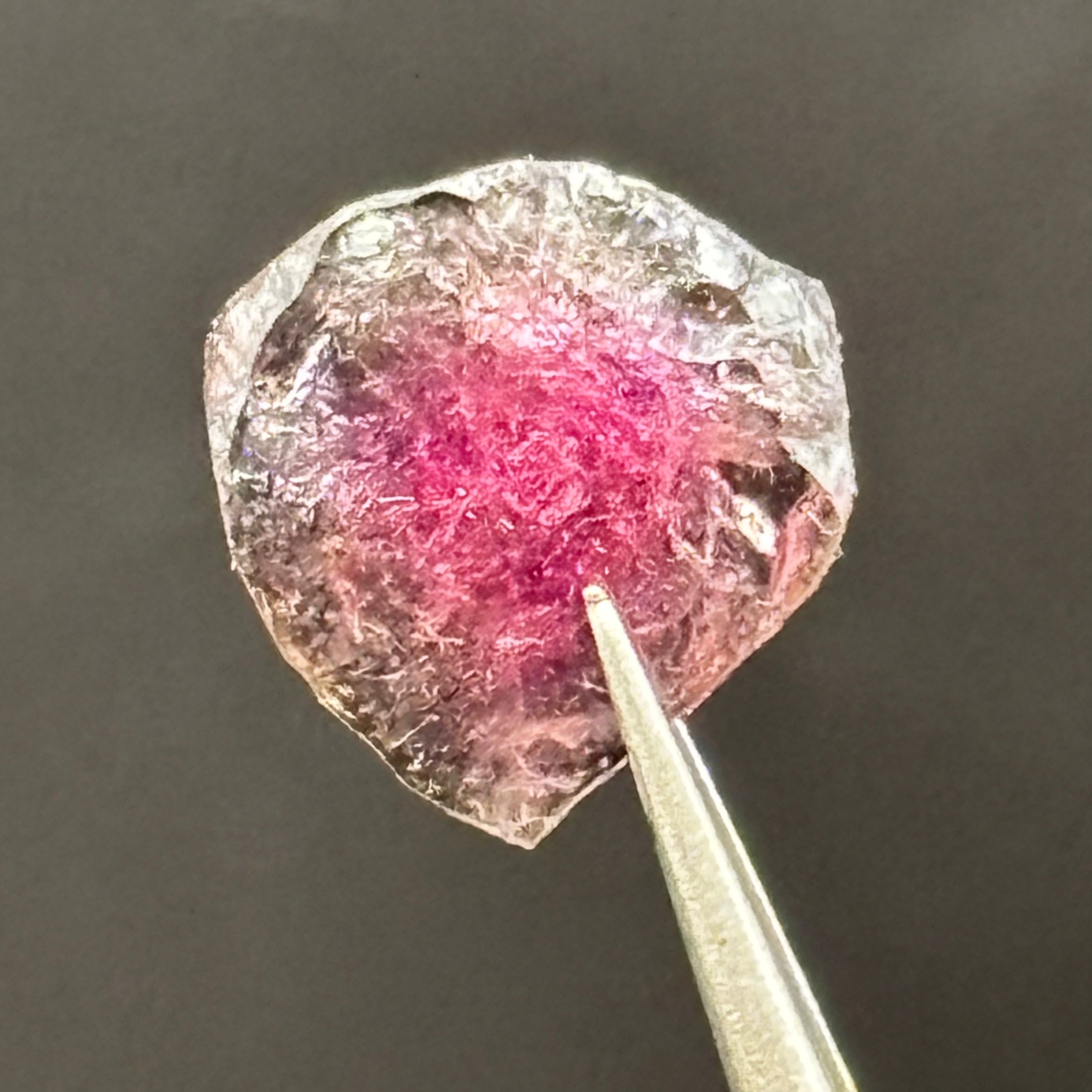 Watermelon Tourmaline Cross-Section - 099