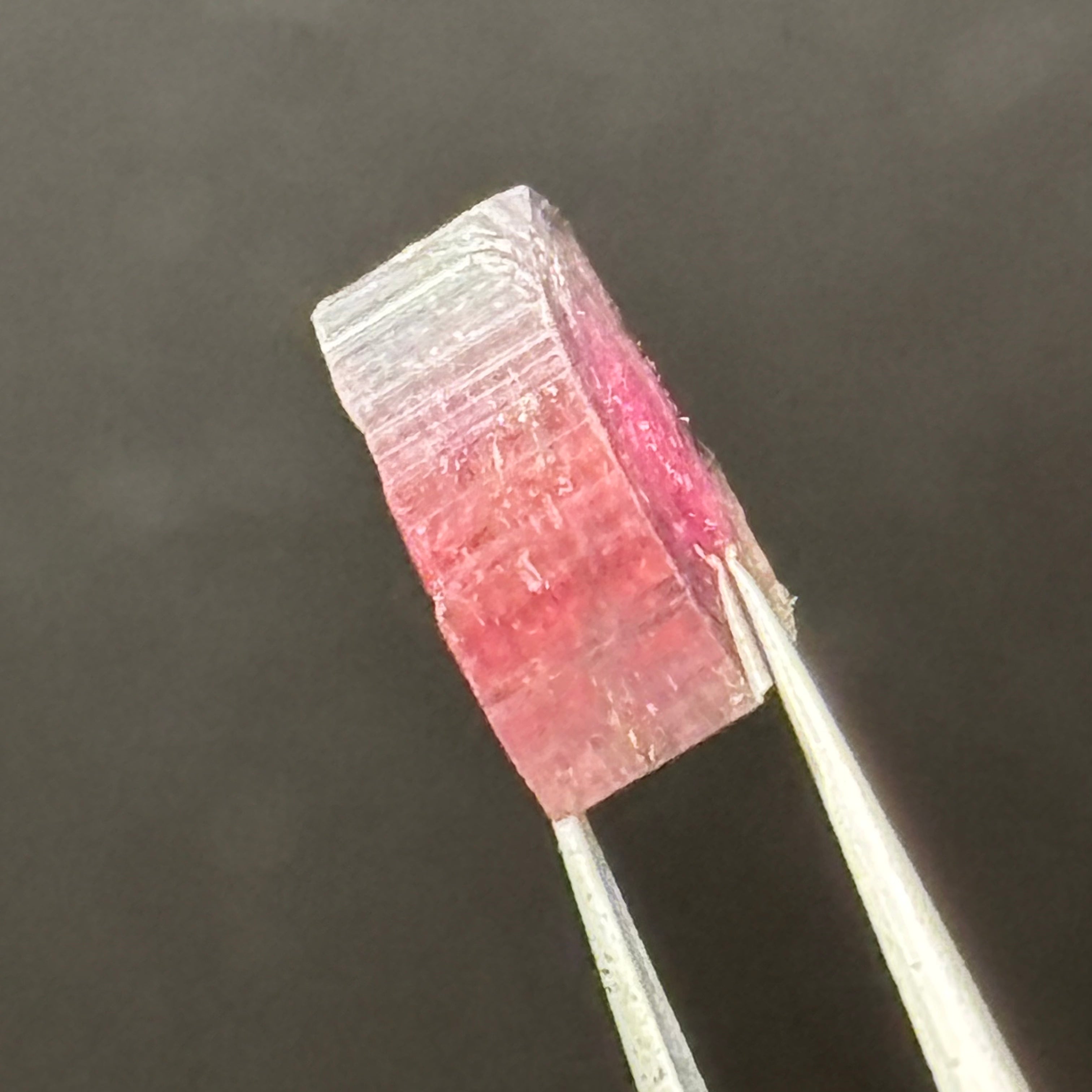 Watermelon Tourmaline Cross-Section - 099