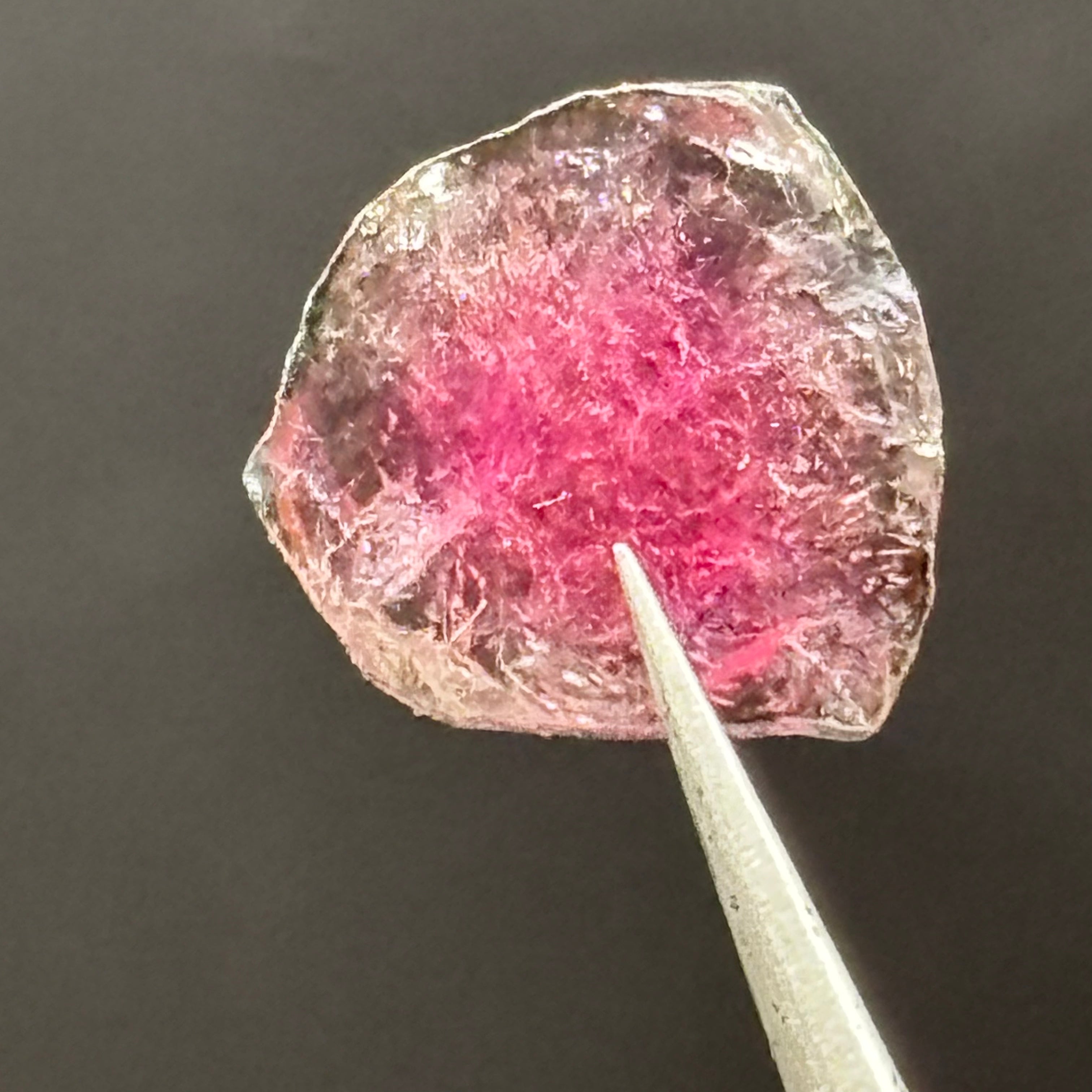 Watermelon Tourmaline Cross-Section - 099