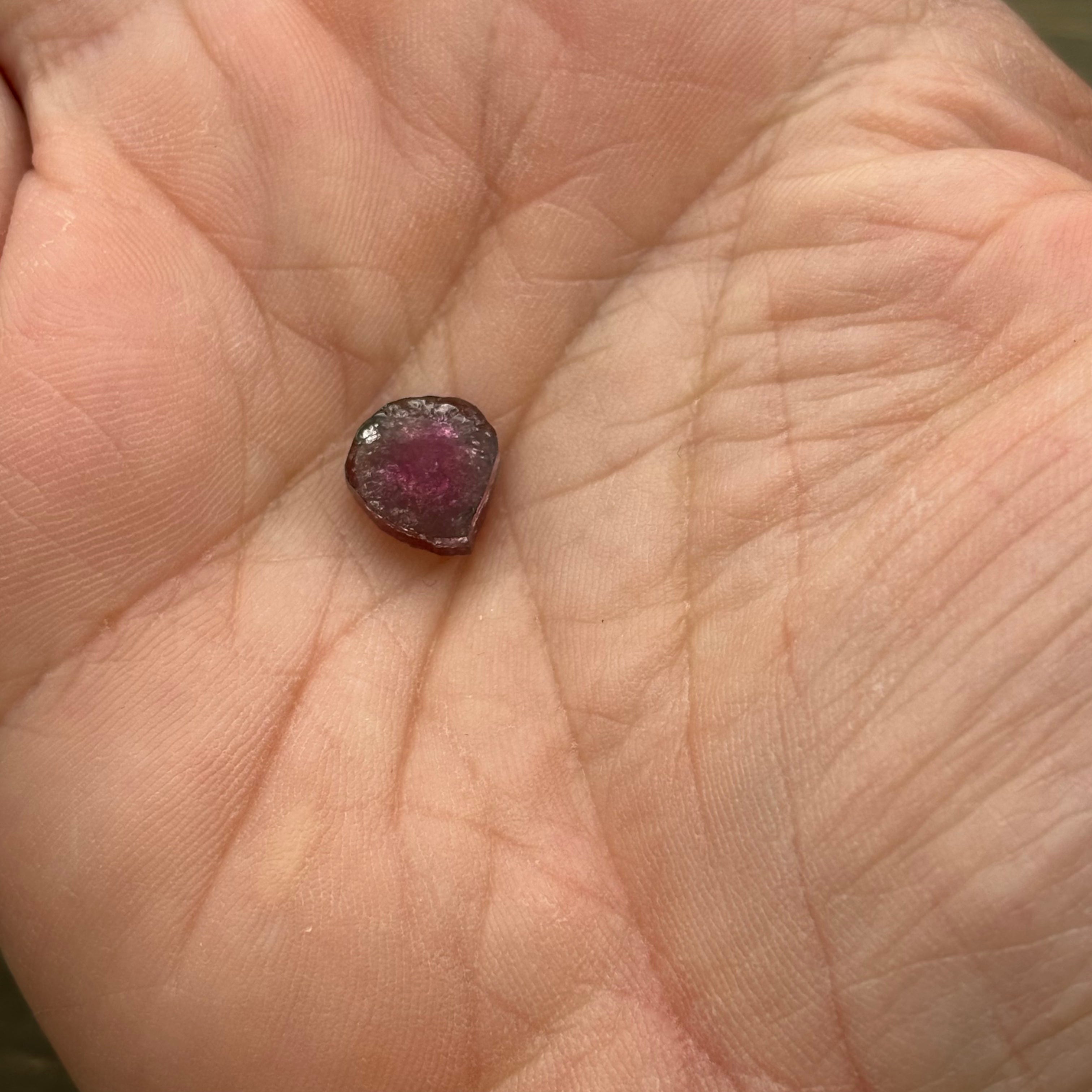 Watermelon Tourmaline Cross-Section - 099