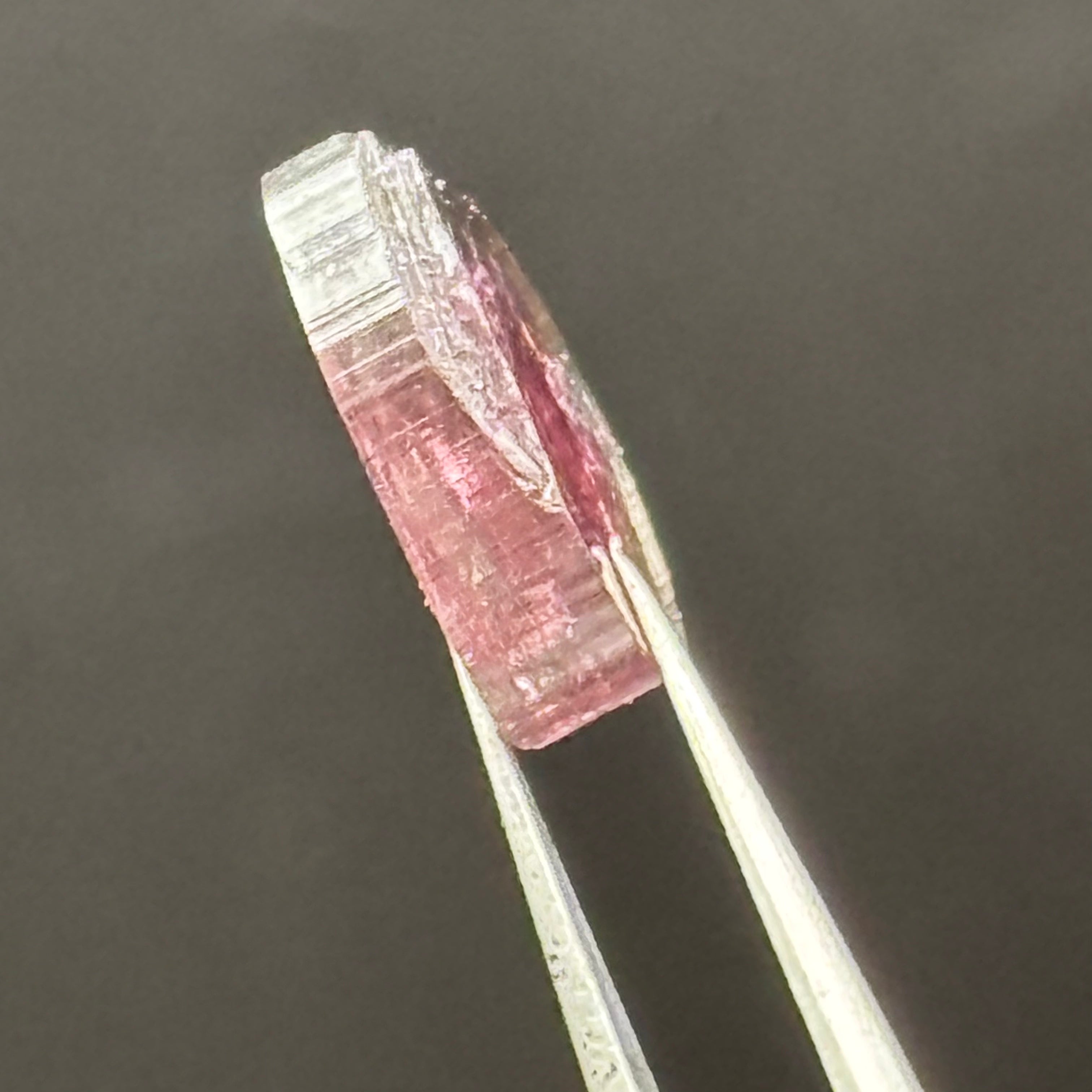 Watermelon Tourmaline Cross-Section - 100