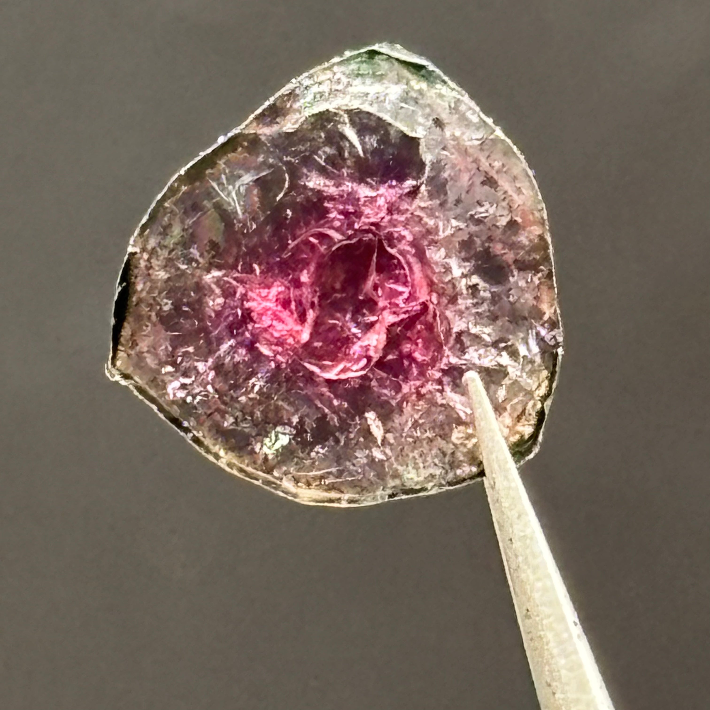 Watermelon Tourmaline Cross-Section - 100