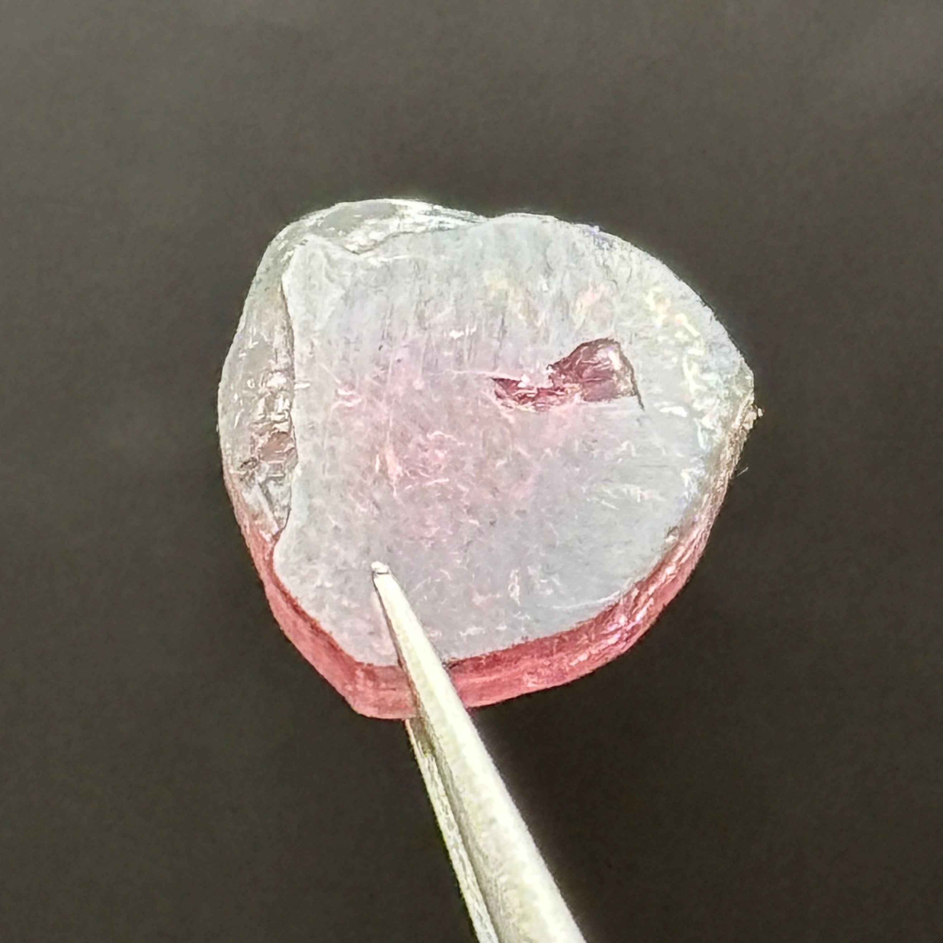 Watermelon Tourmaline Cross-Section - 100