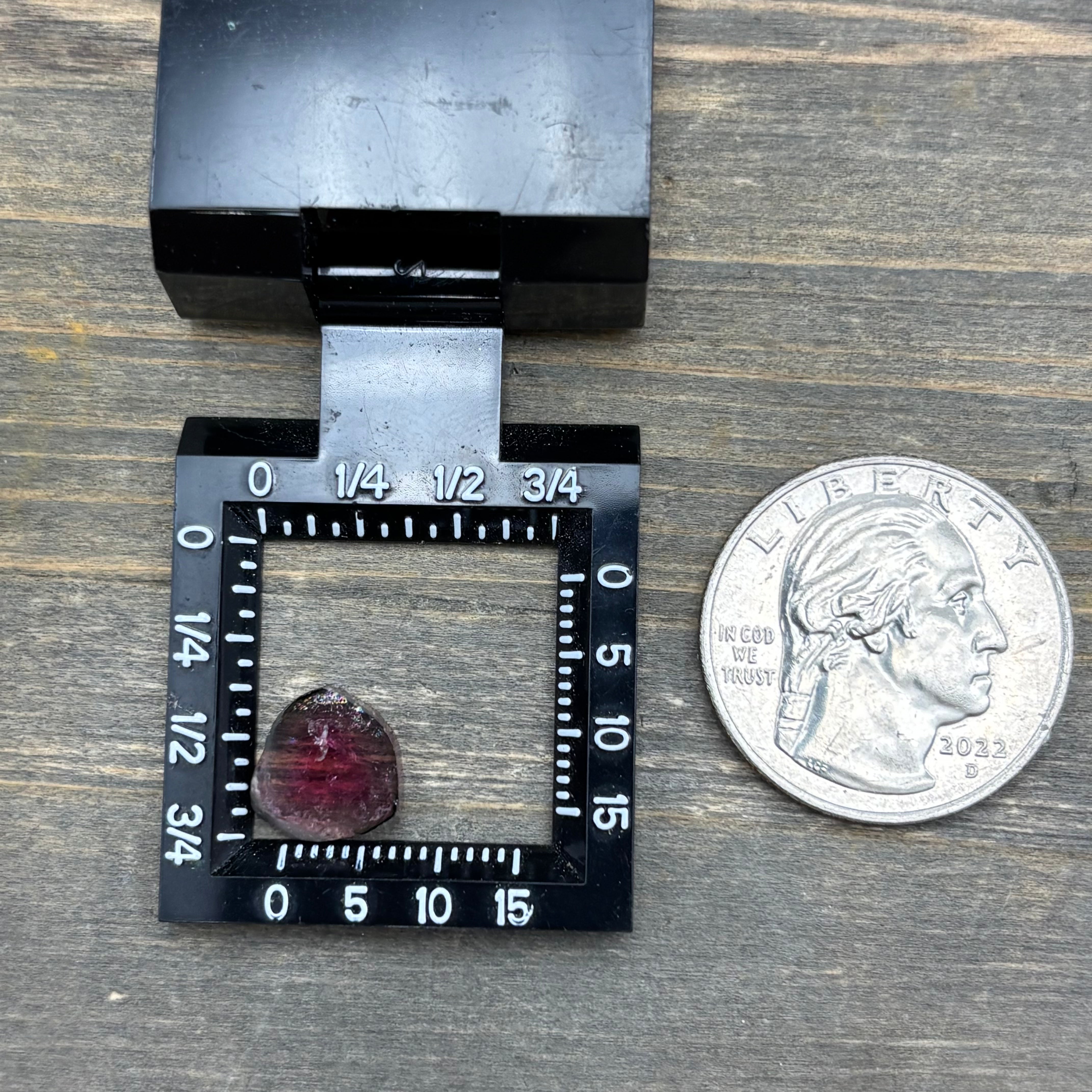 Watermelon Tourmaline Cross-Section - 100
