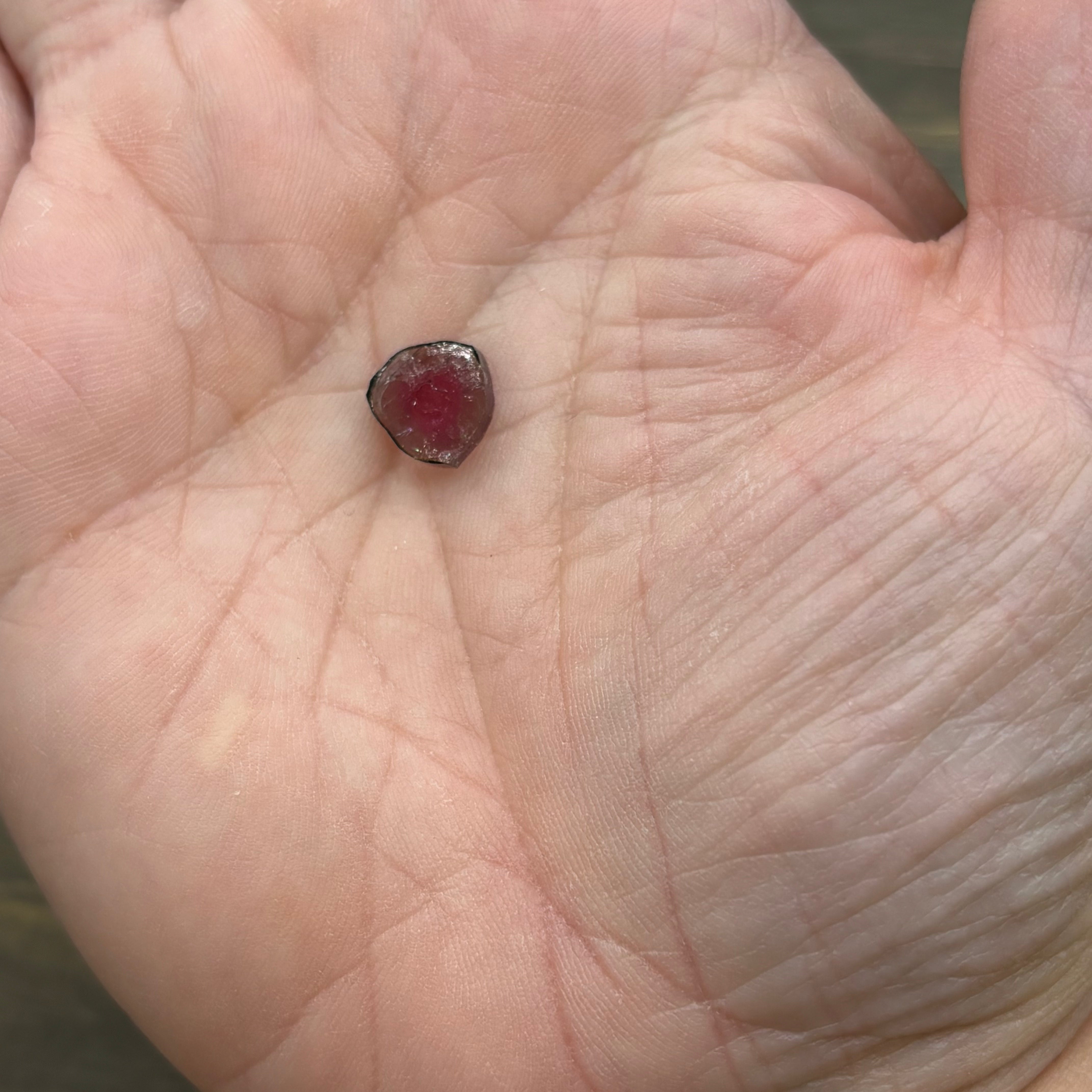 Watermelon Tourmaline Cross-Section - 100
