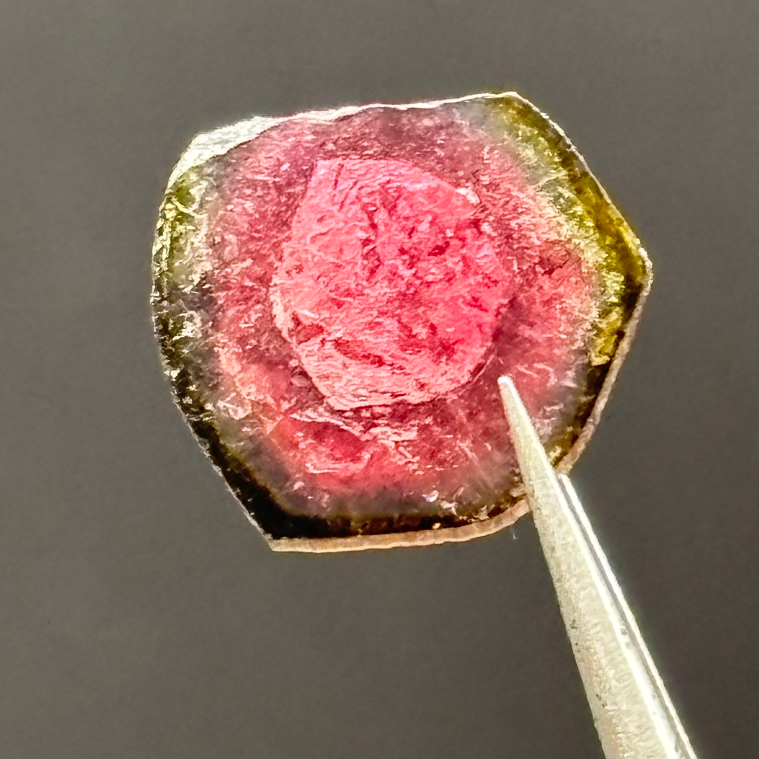Watermelon Tourmaline Cross-Section - 101