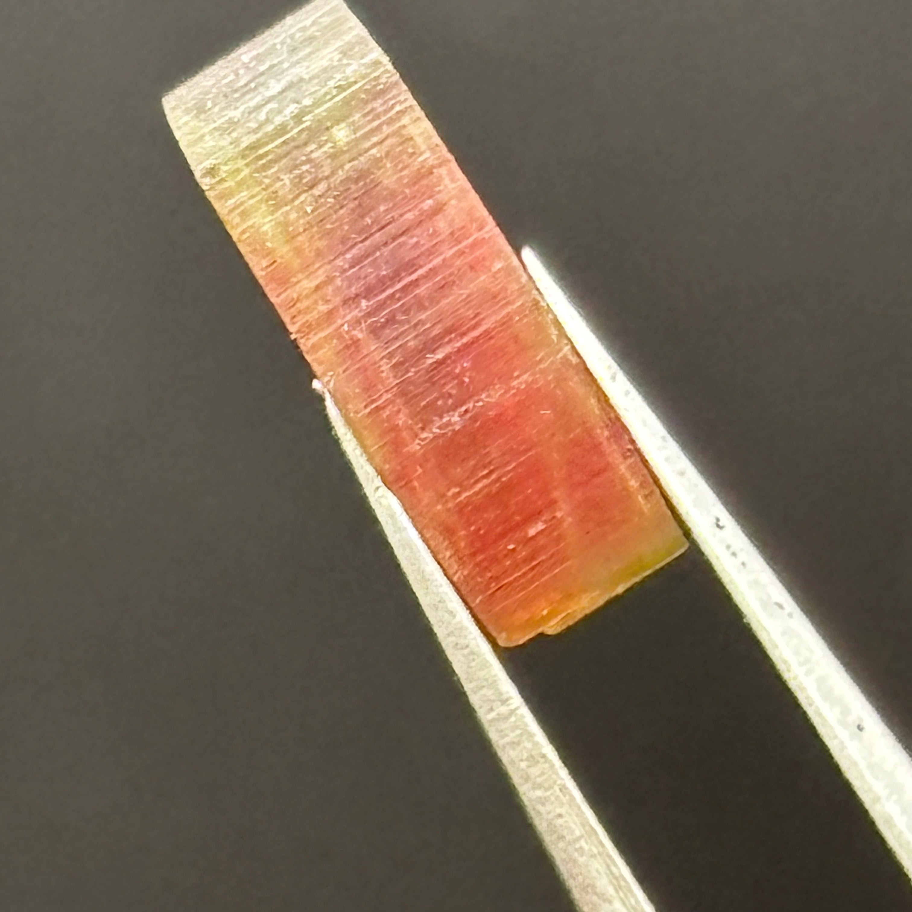 Watermelon Tourmaline Cross-Section - 101