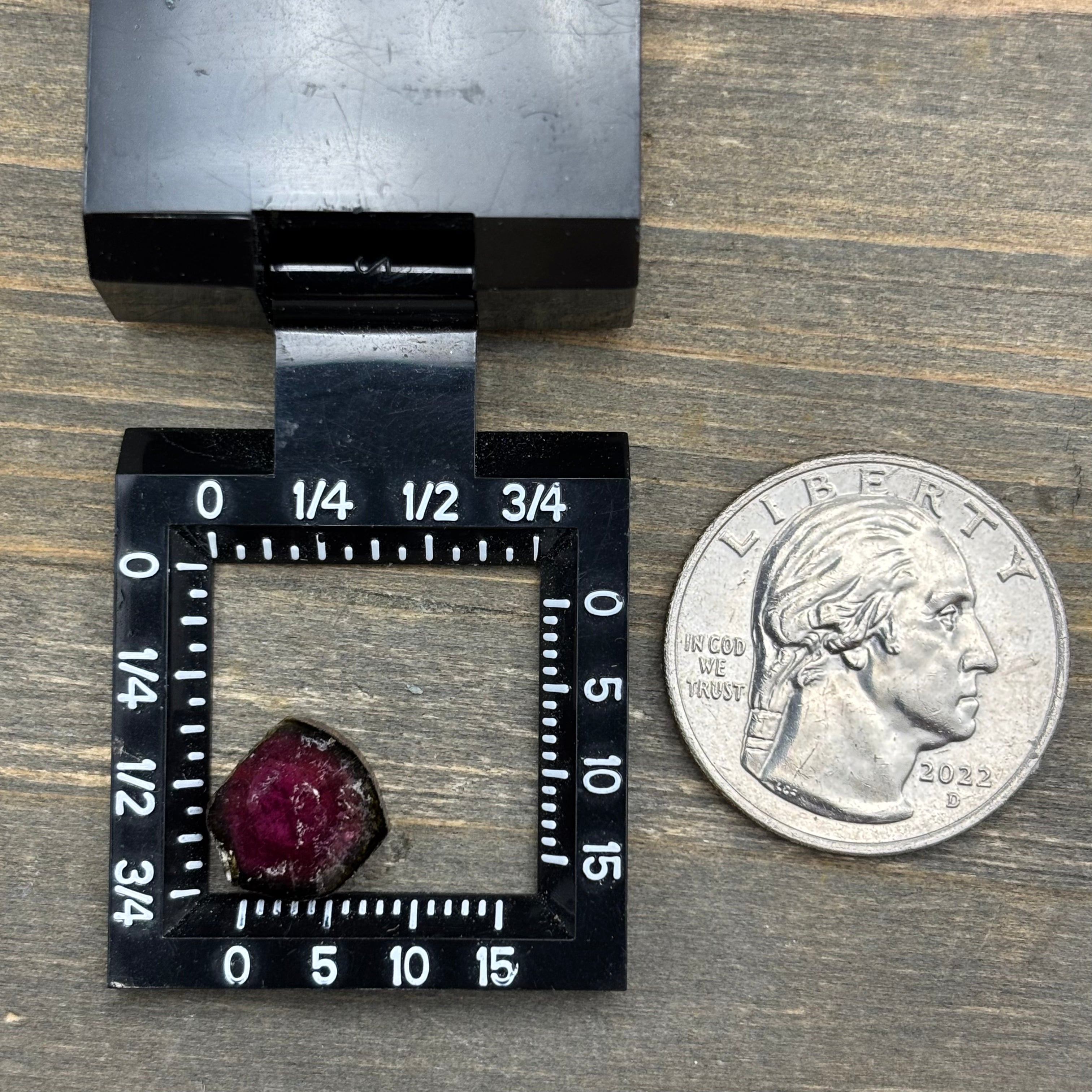 Watermelon Tourmaline Cross-Section - 101