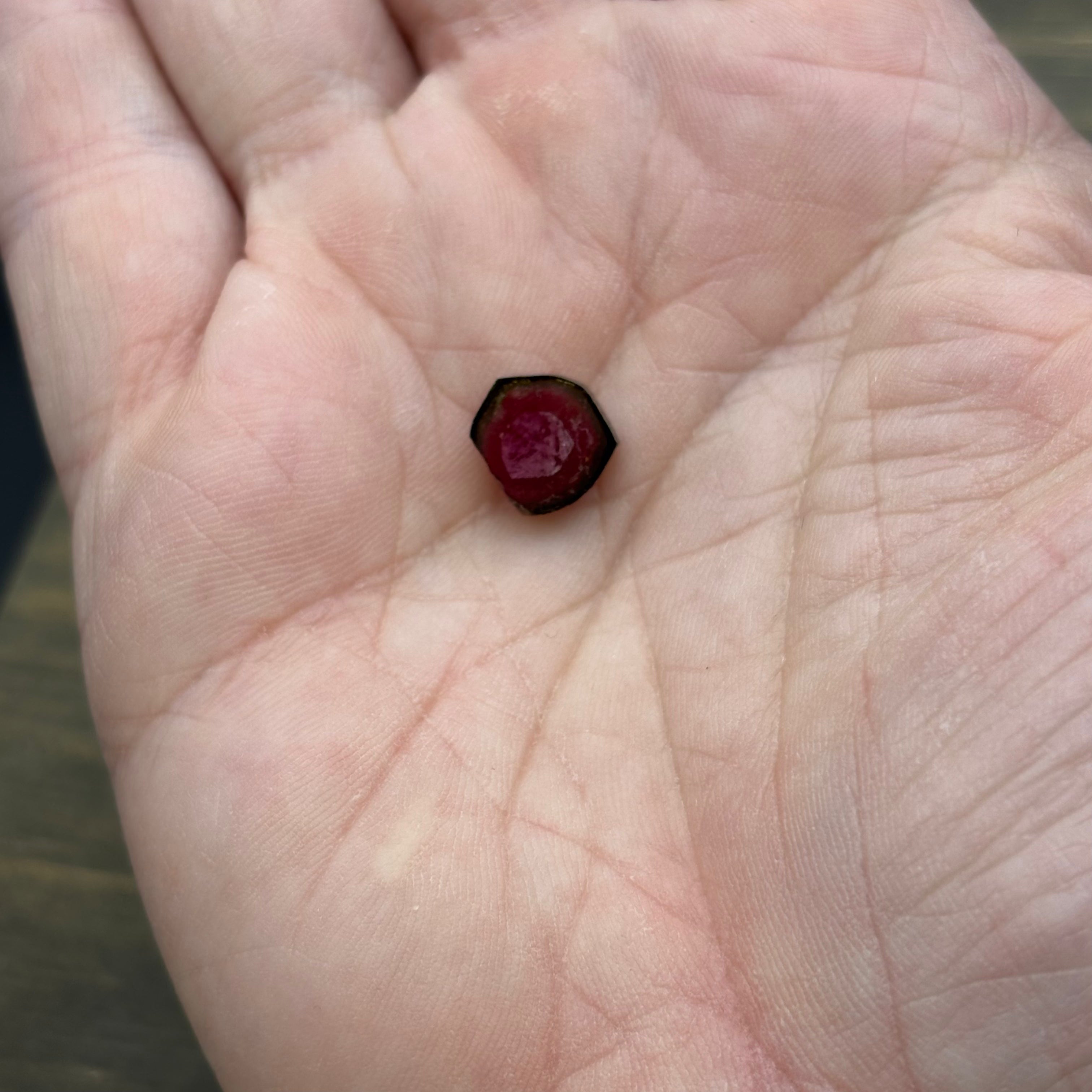 Watermelon Tourmaline Cross-Section - 101
