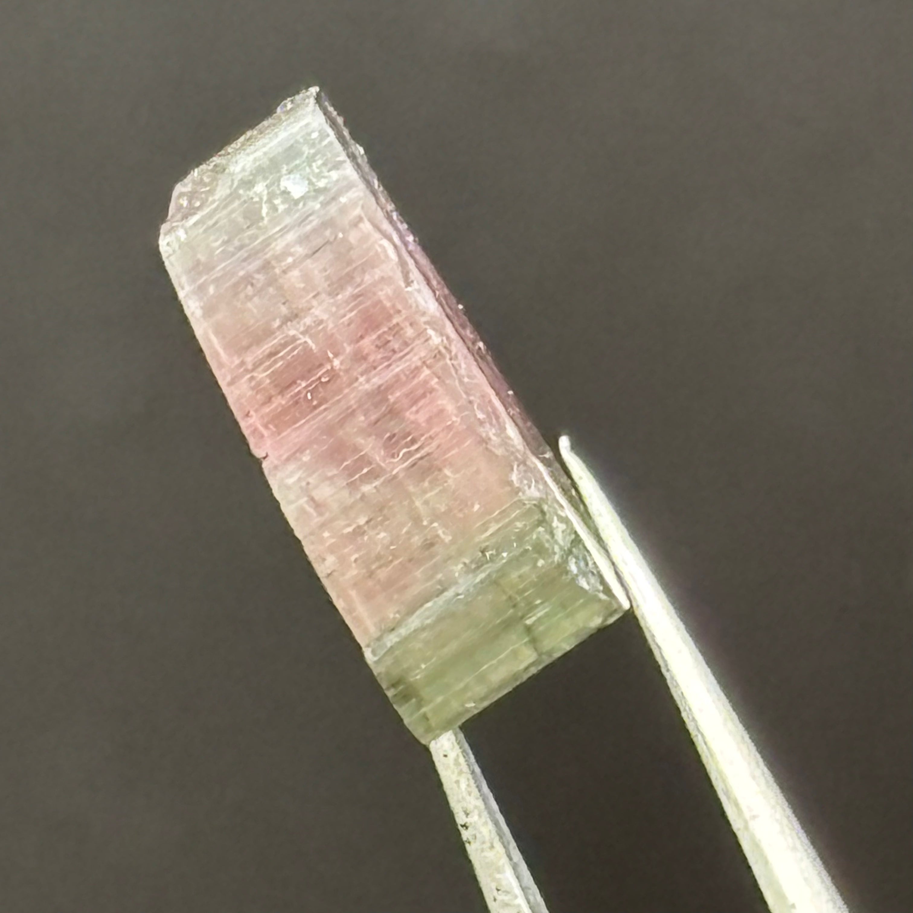 Watermelon Tourmaline Cross-Section - 102