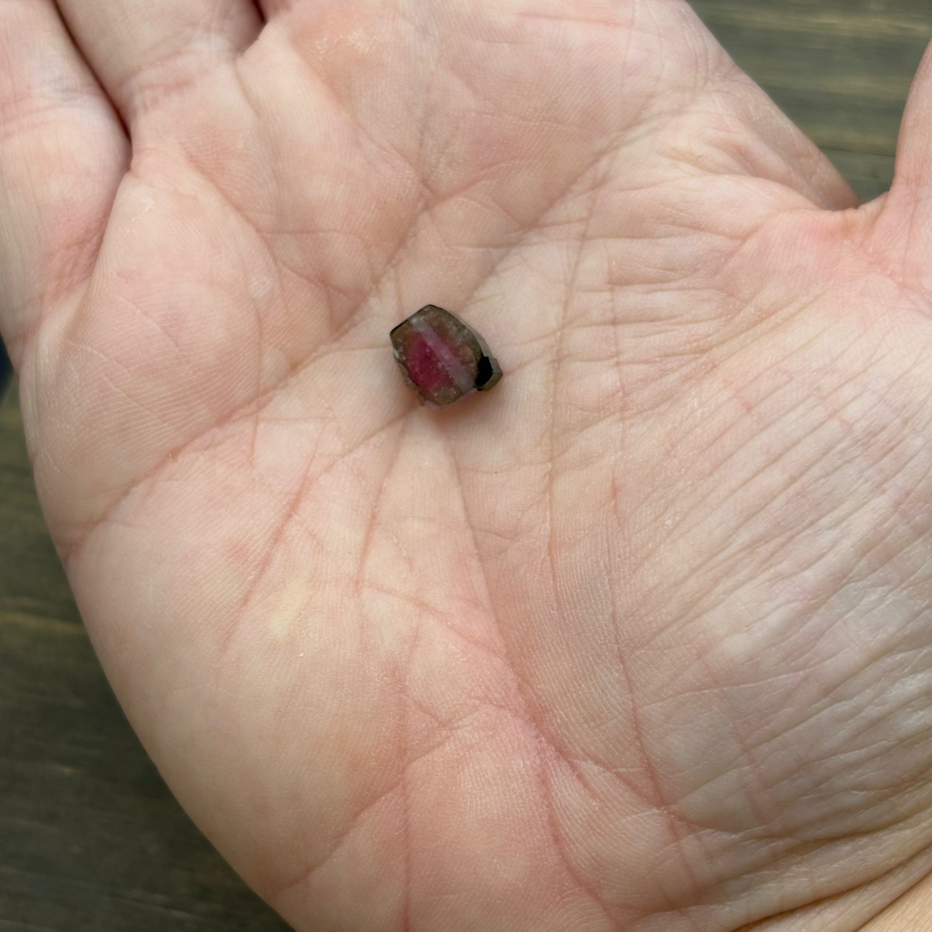 Watermelon Tourmaline Cross-Section - 102