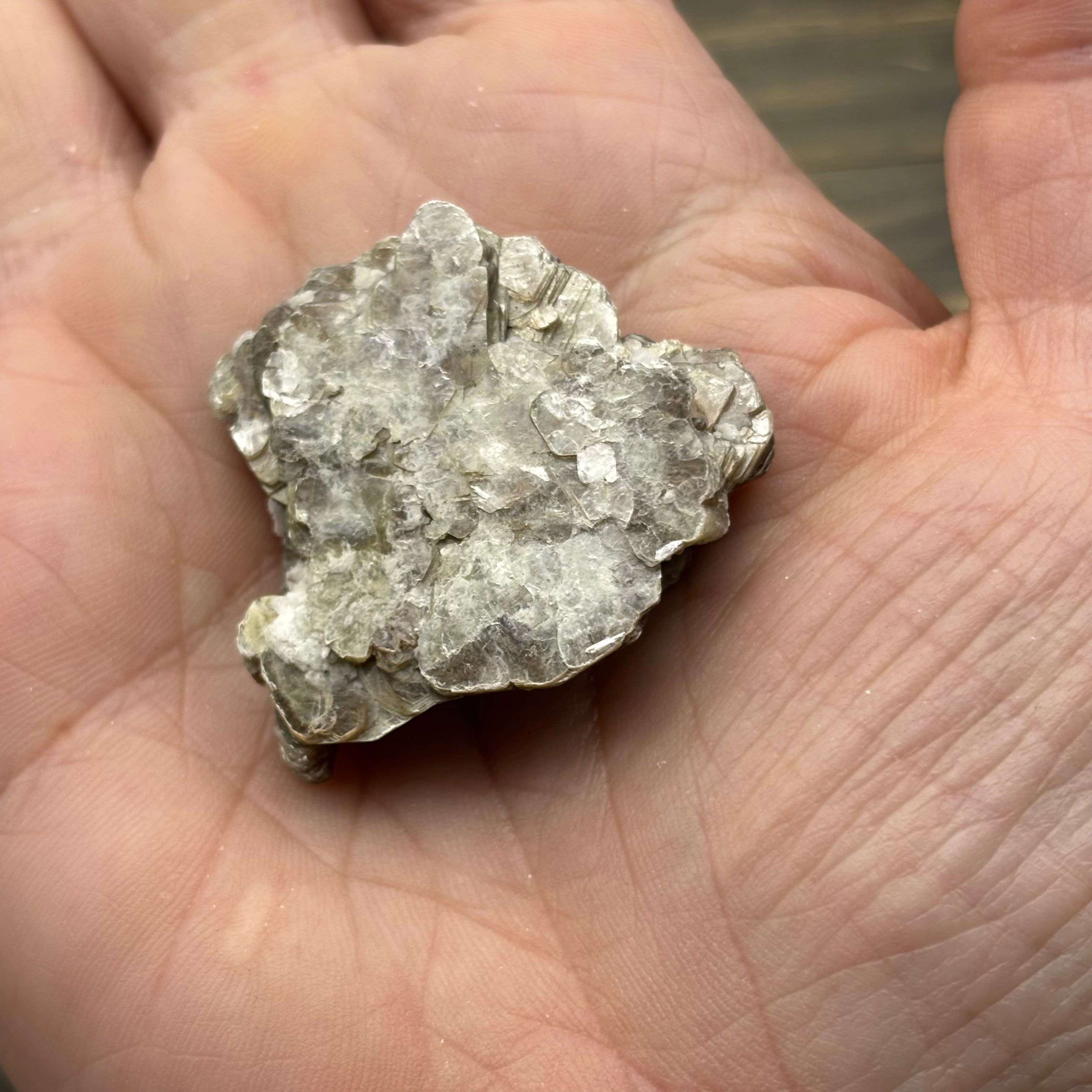 Green Gold Mica - 079