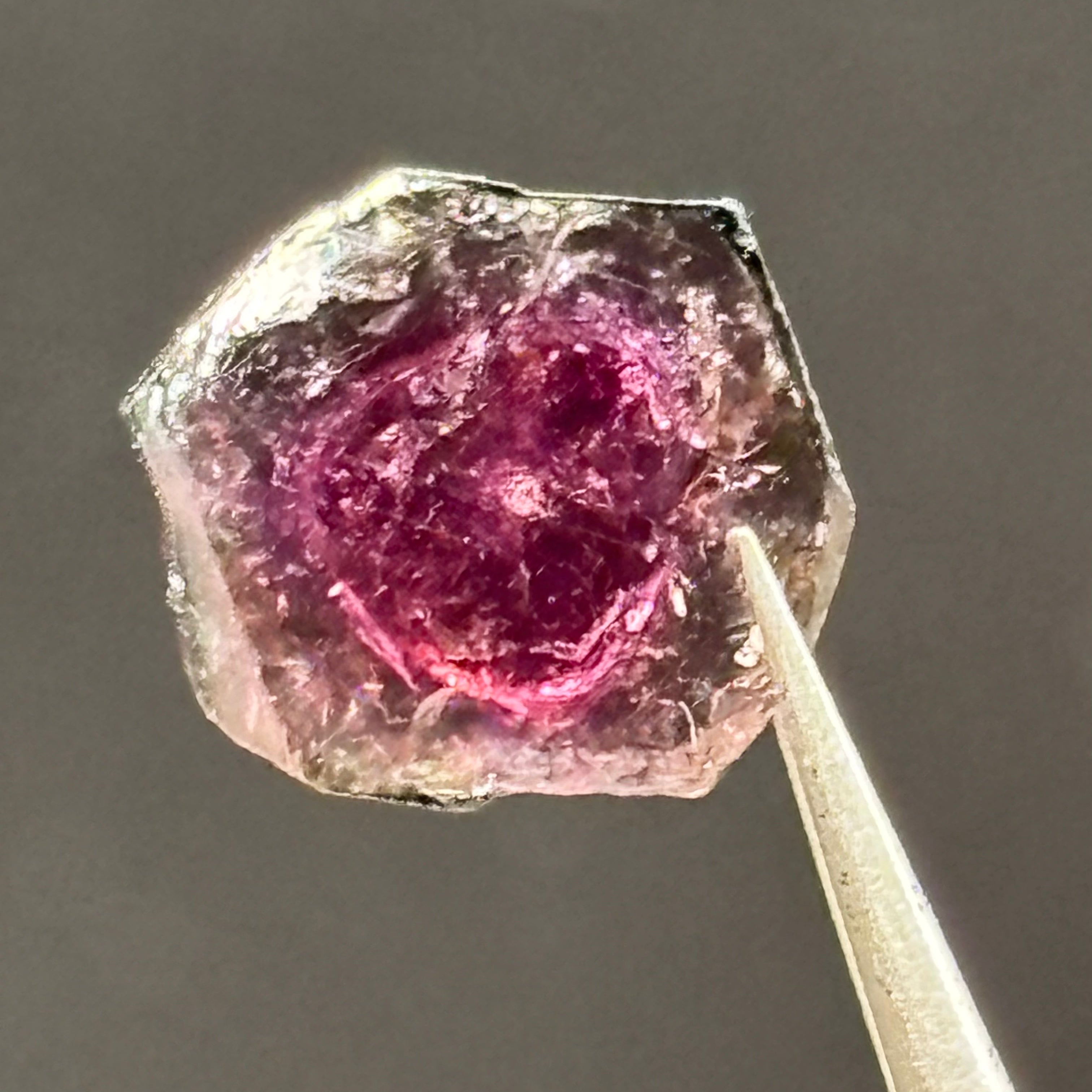 Watermelon Tourmaline Cross-Section - 103